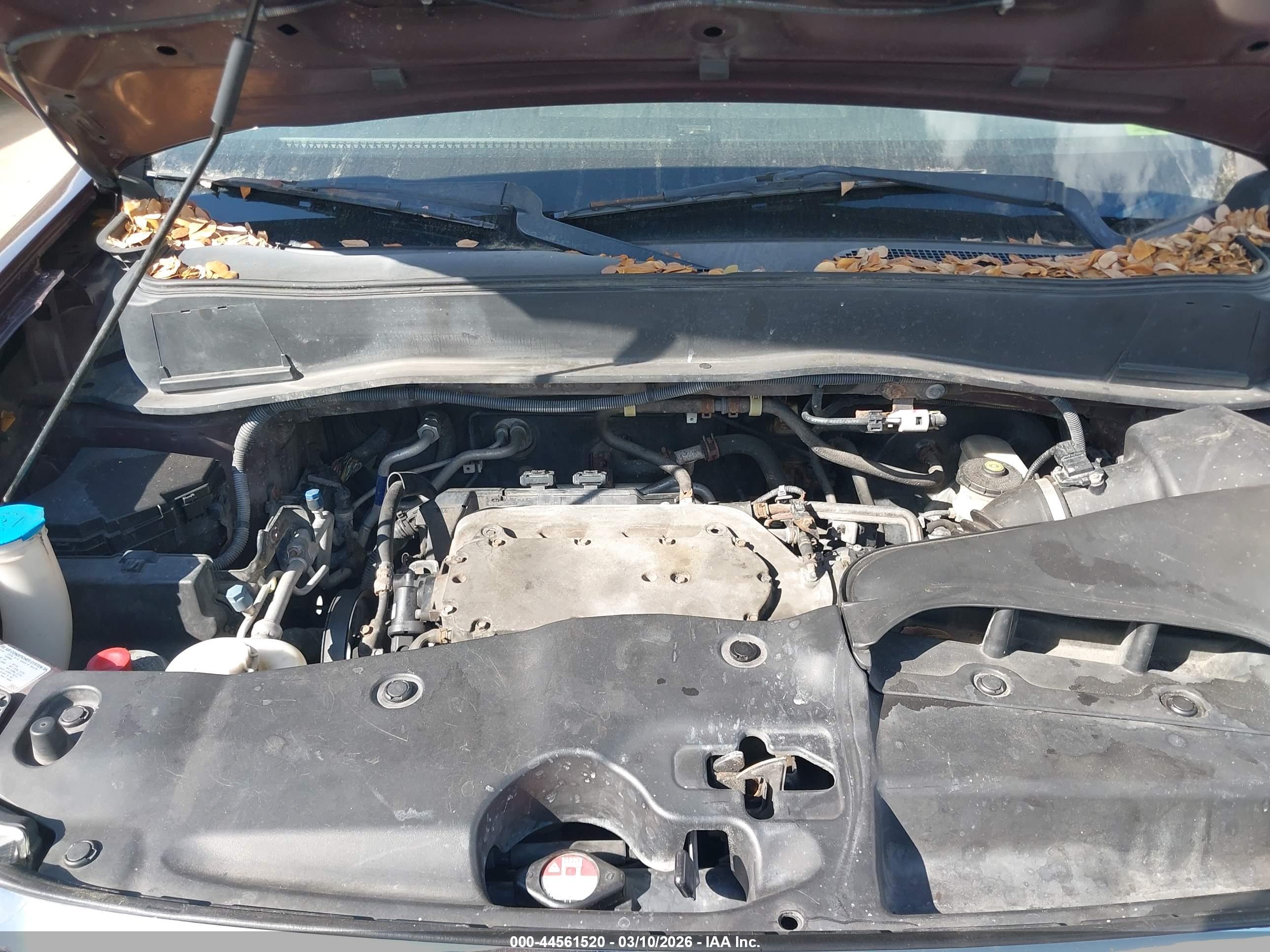 HONDA PILOT image 10