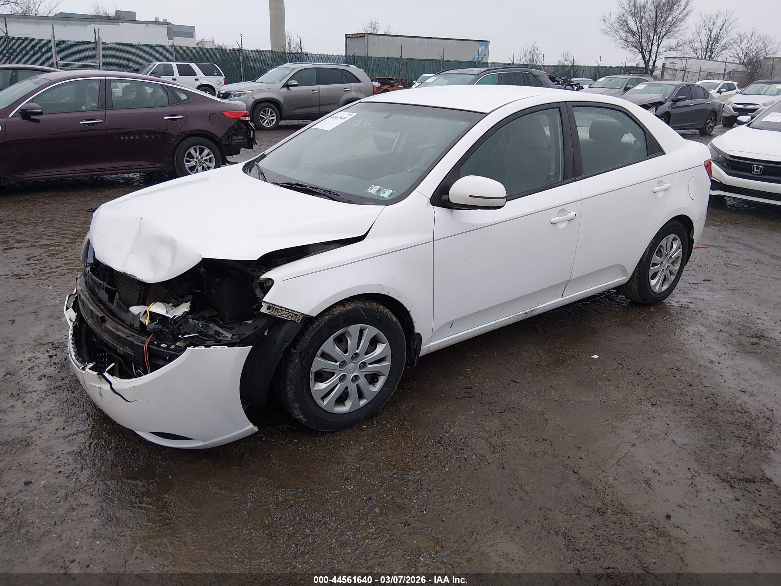 KIA FORTE image 2