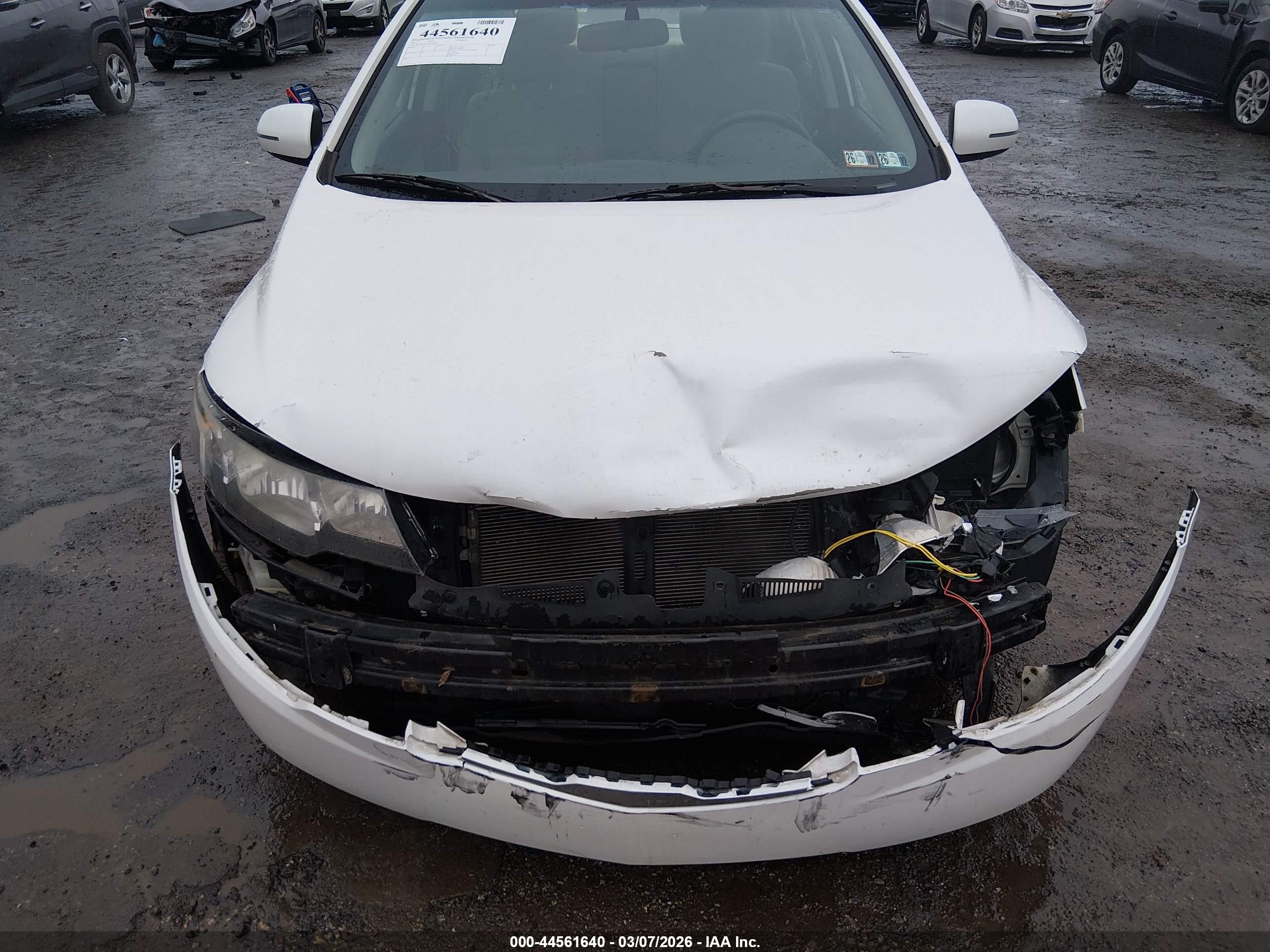 KIA FORTE image 6