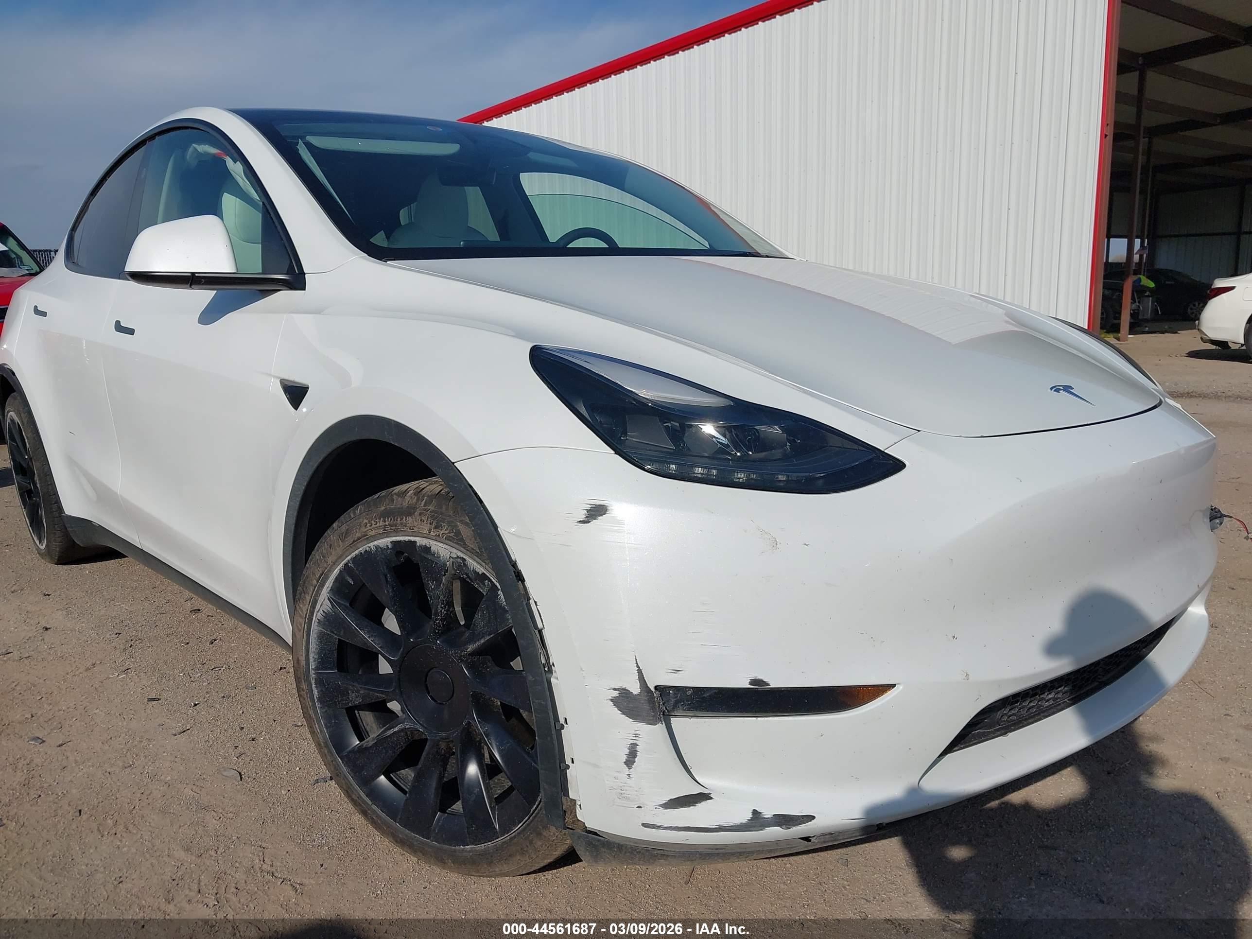 TESLA MODEL image 6