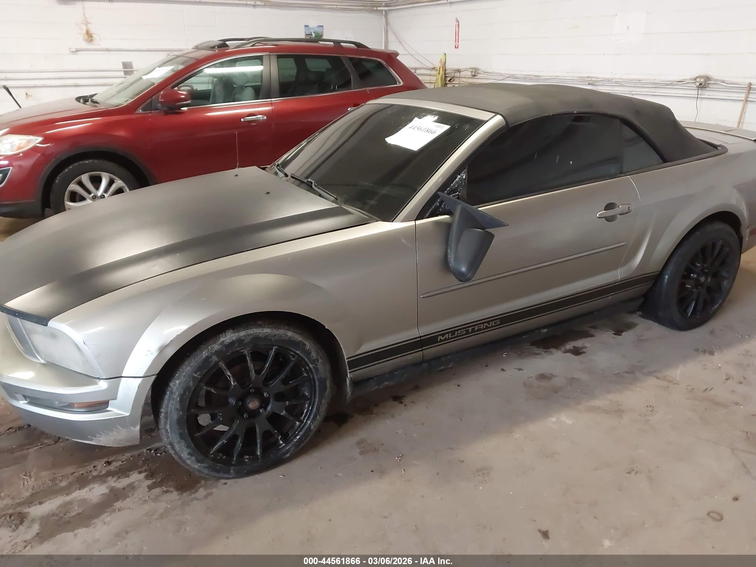 FORD MUSTANG image 6