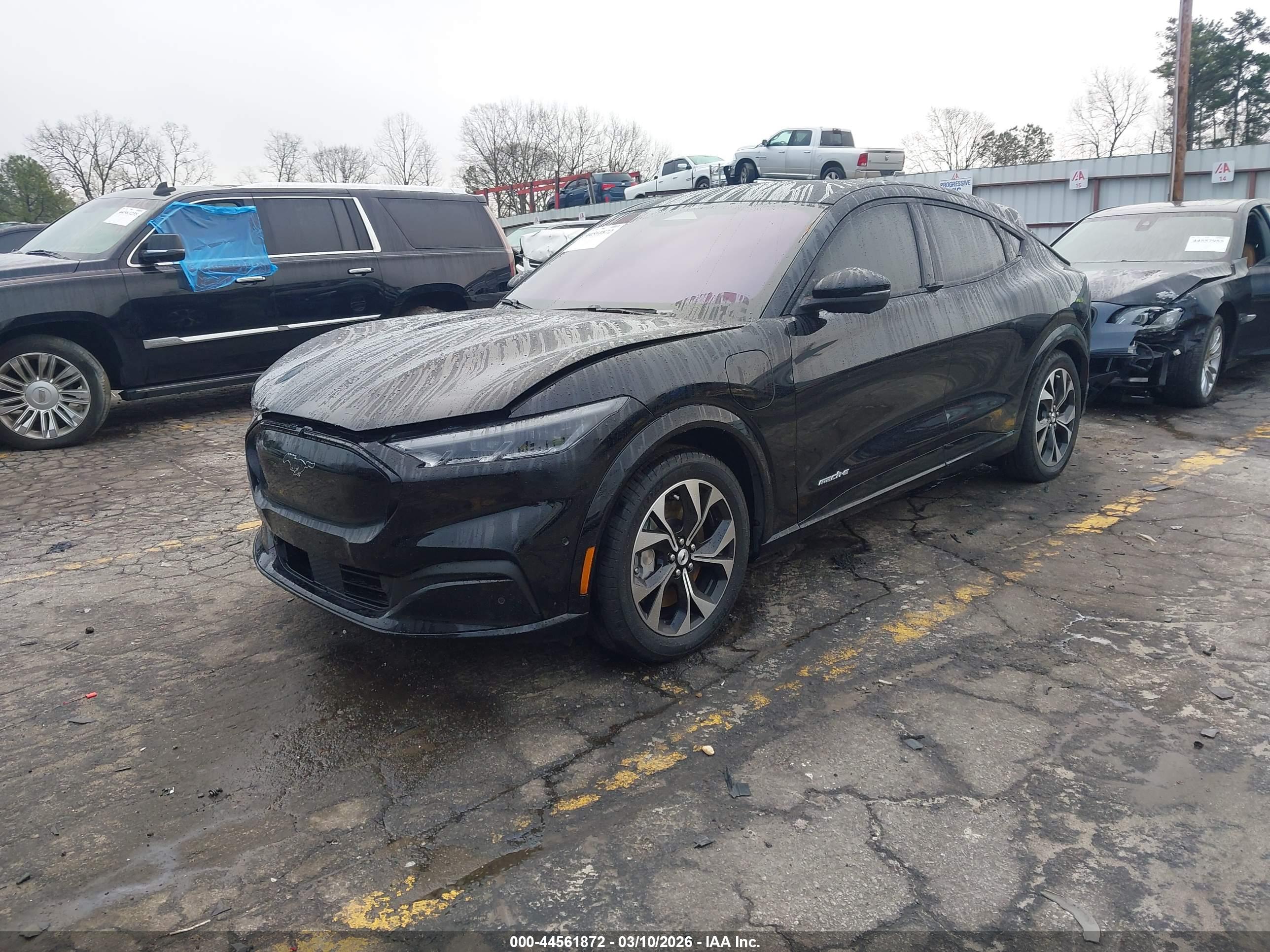 FORD MUSTANG image 2