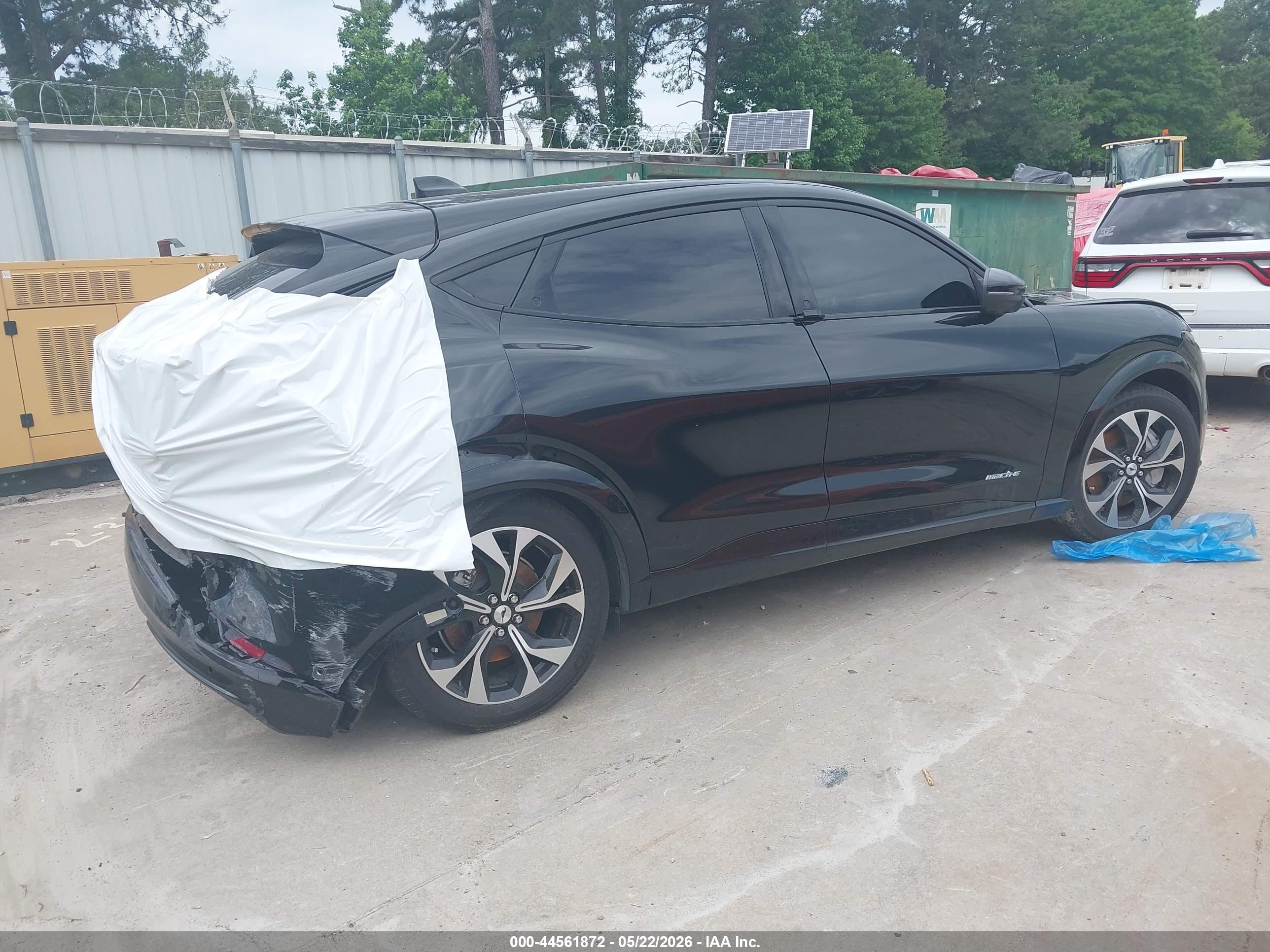 FORD MUSTANG image 4