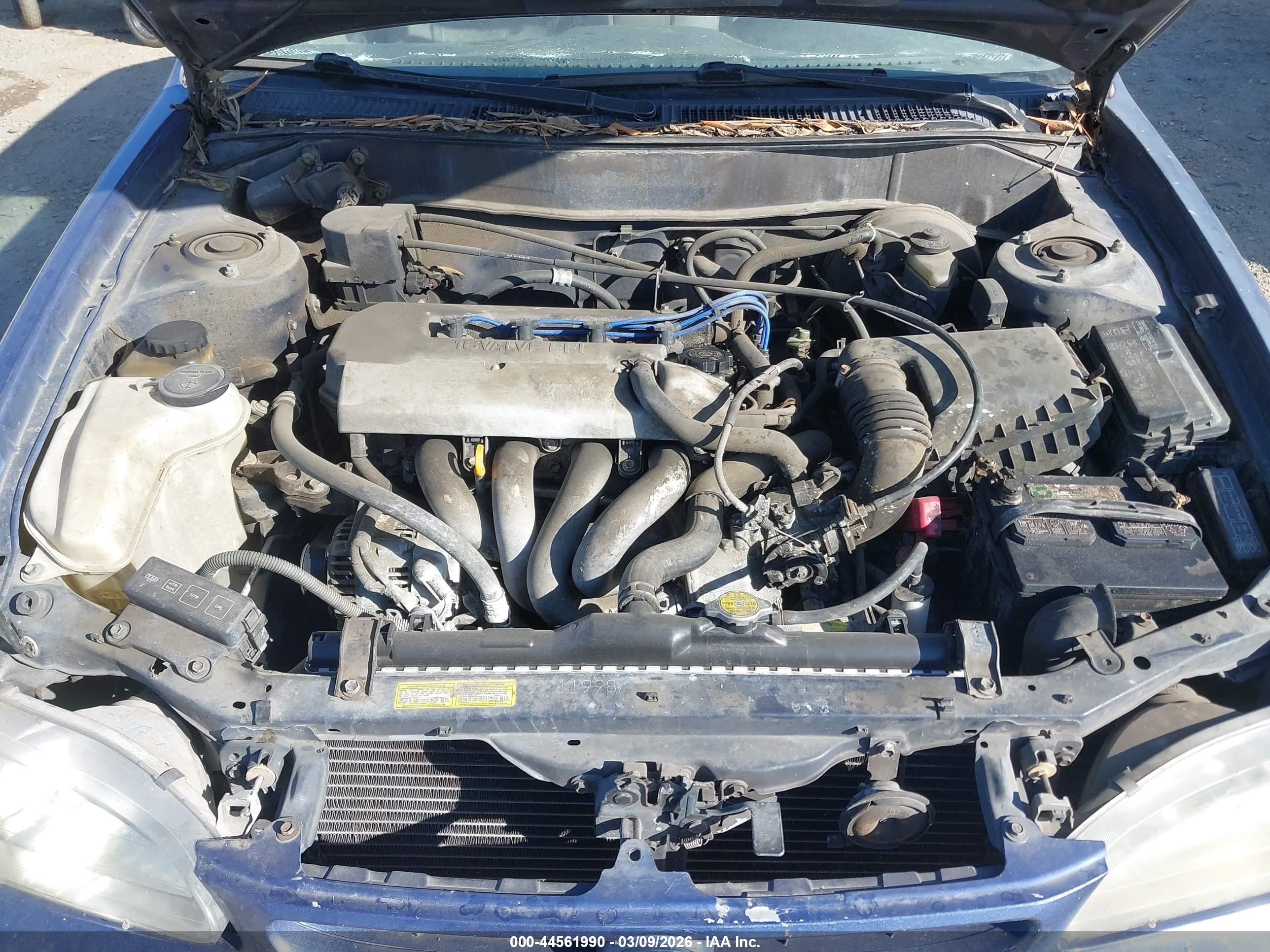 TOYOTA COROLLA image 10