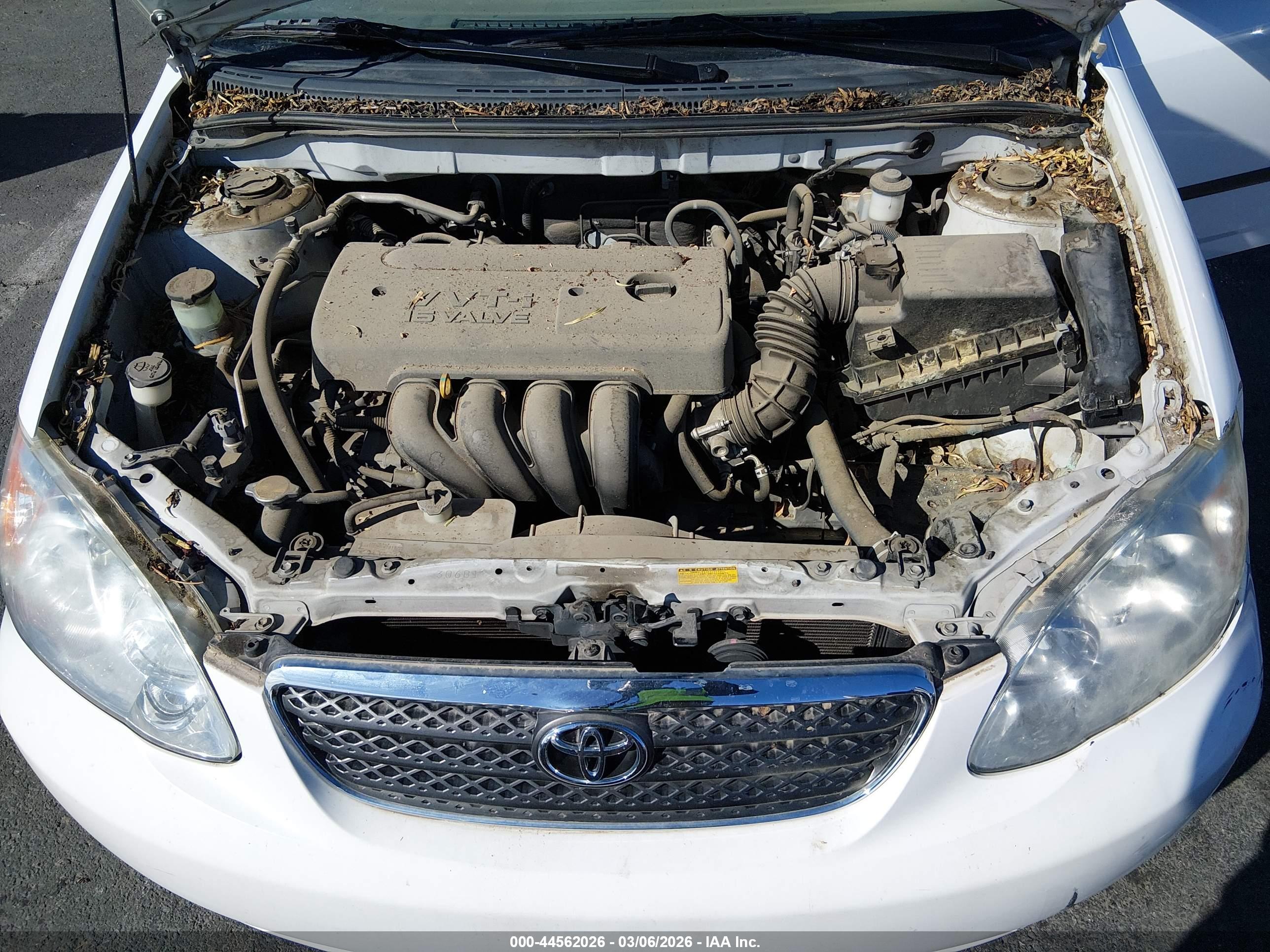 TOYOTA COROLLA image 10
