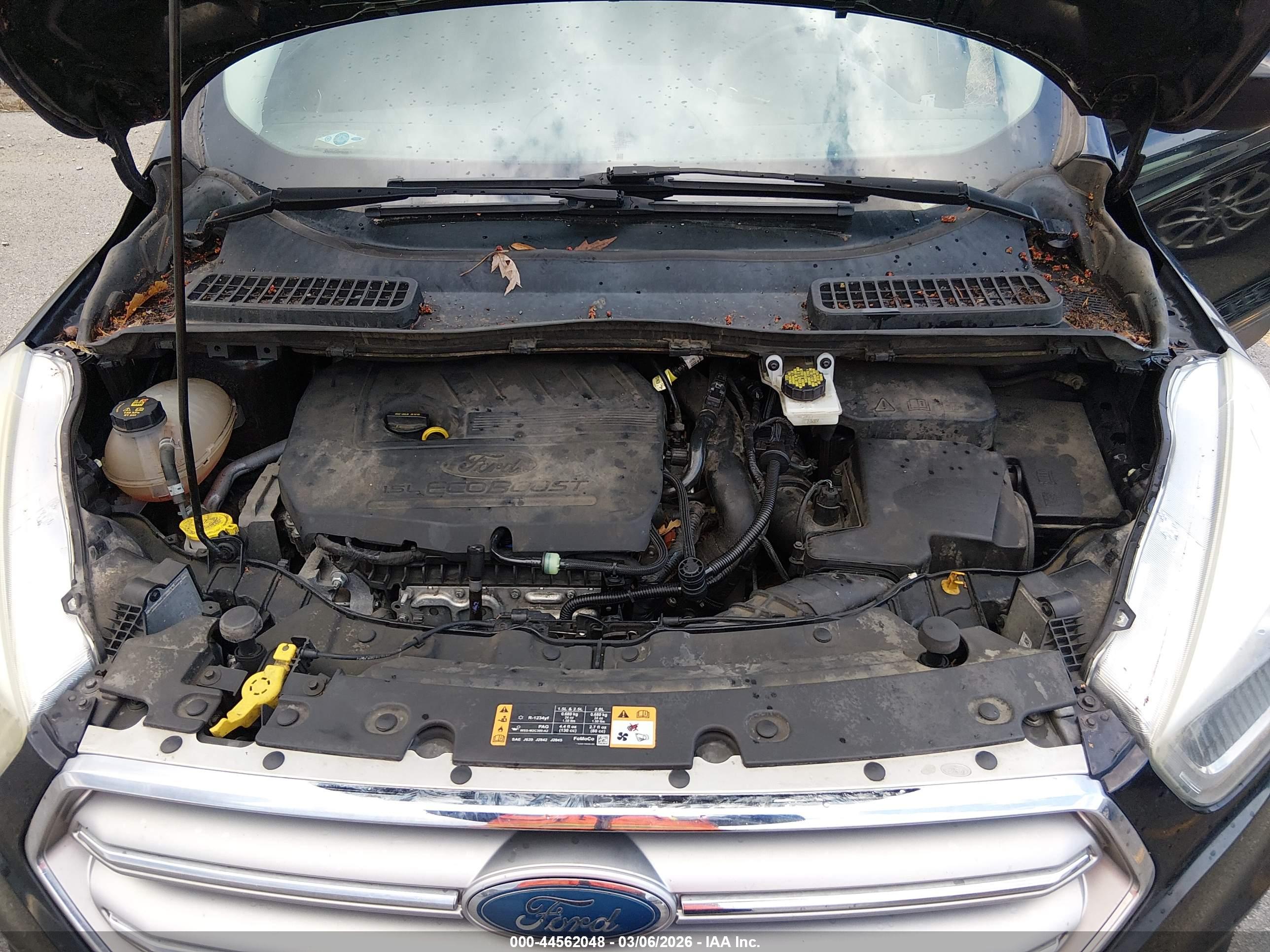 FORD ESCAPE image 10