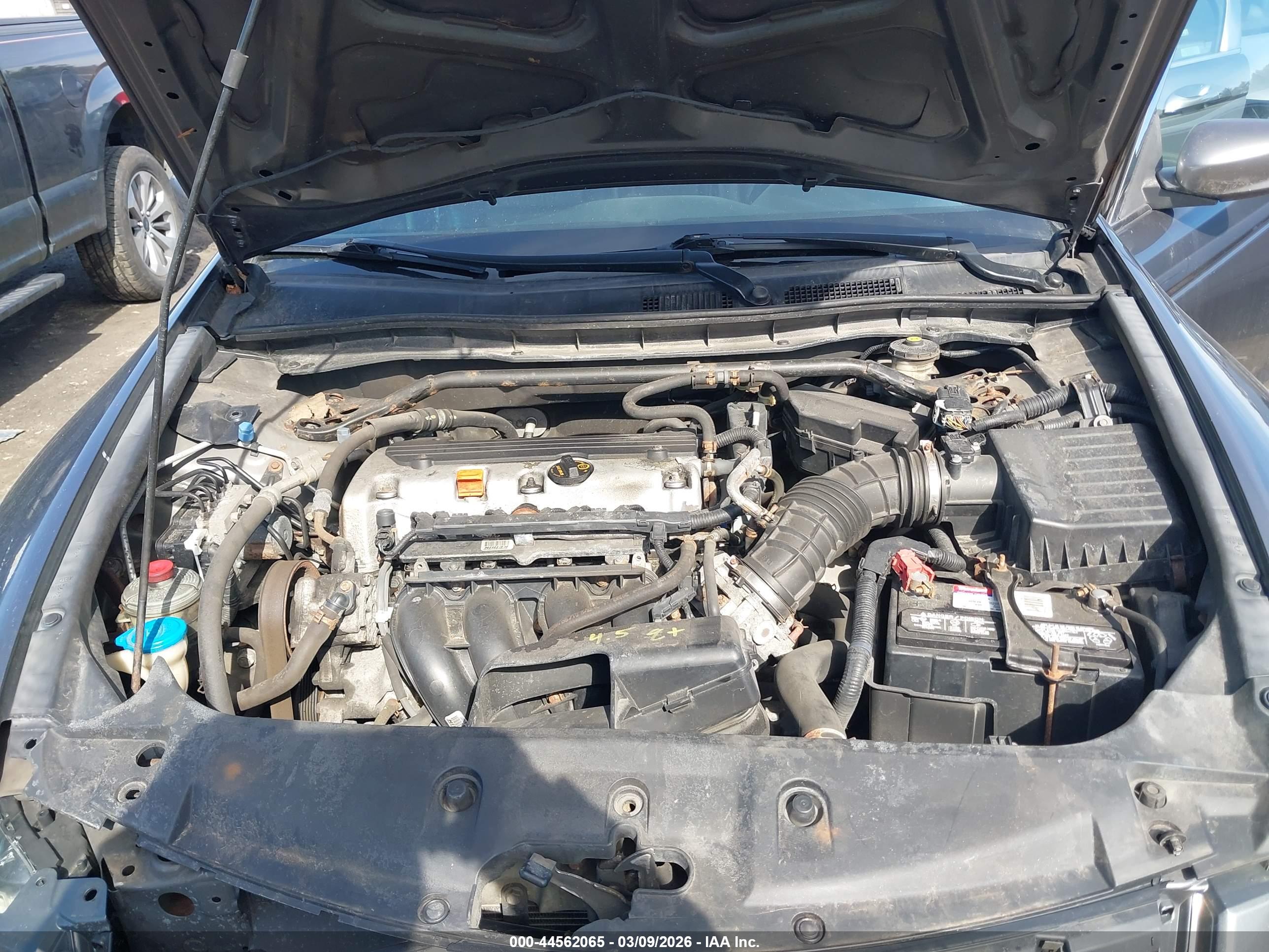 HONDA ACCORD image 10