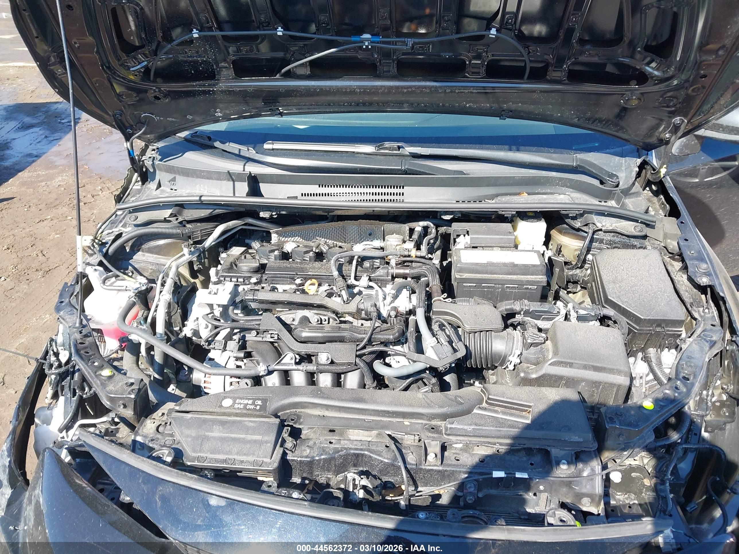 TOYOTA COROLLA image 10