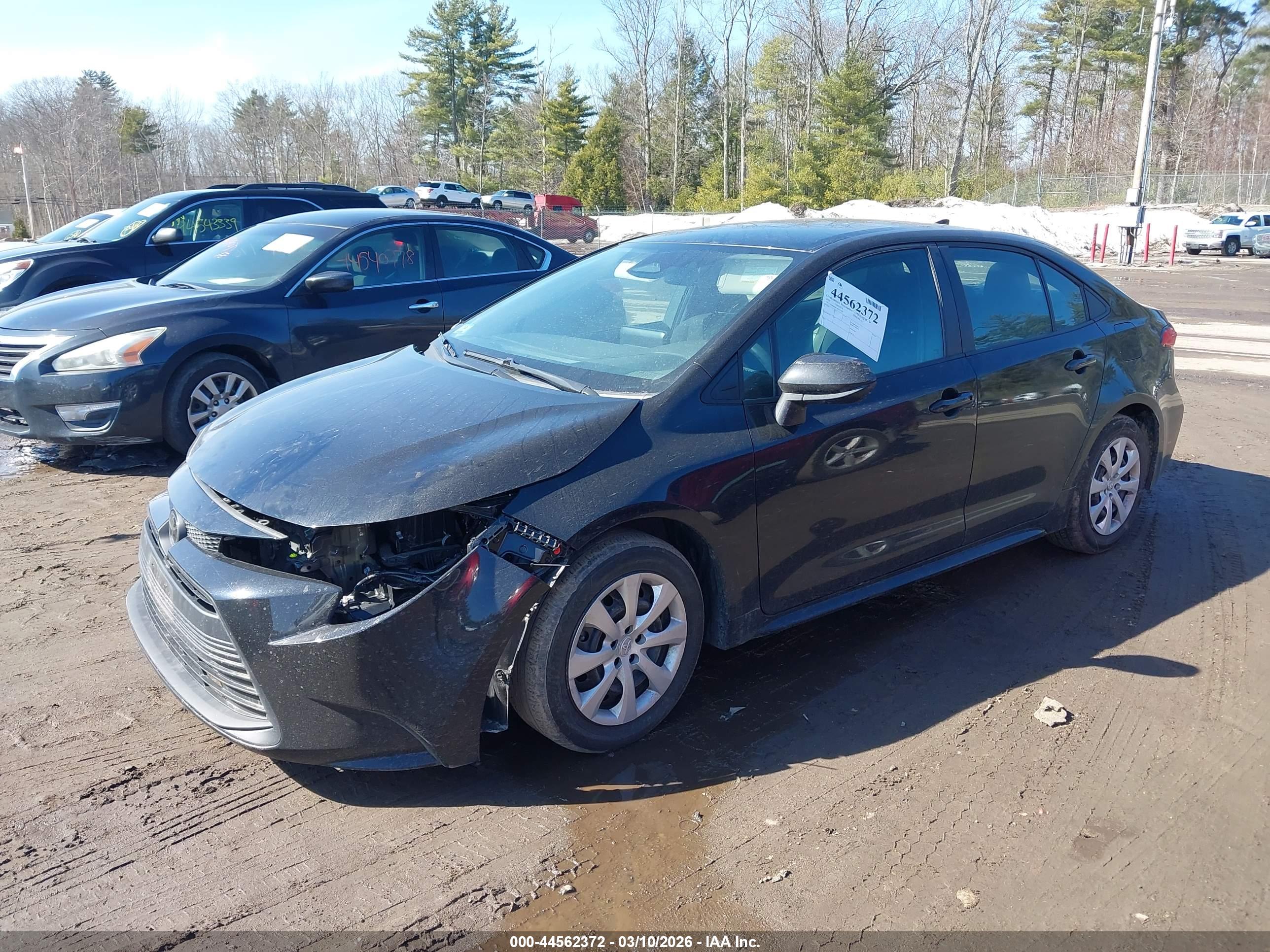TOYOTA COROLLA image 2
