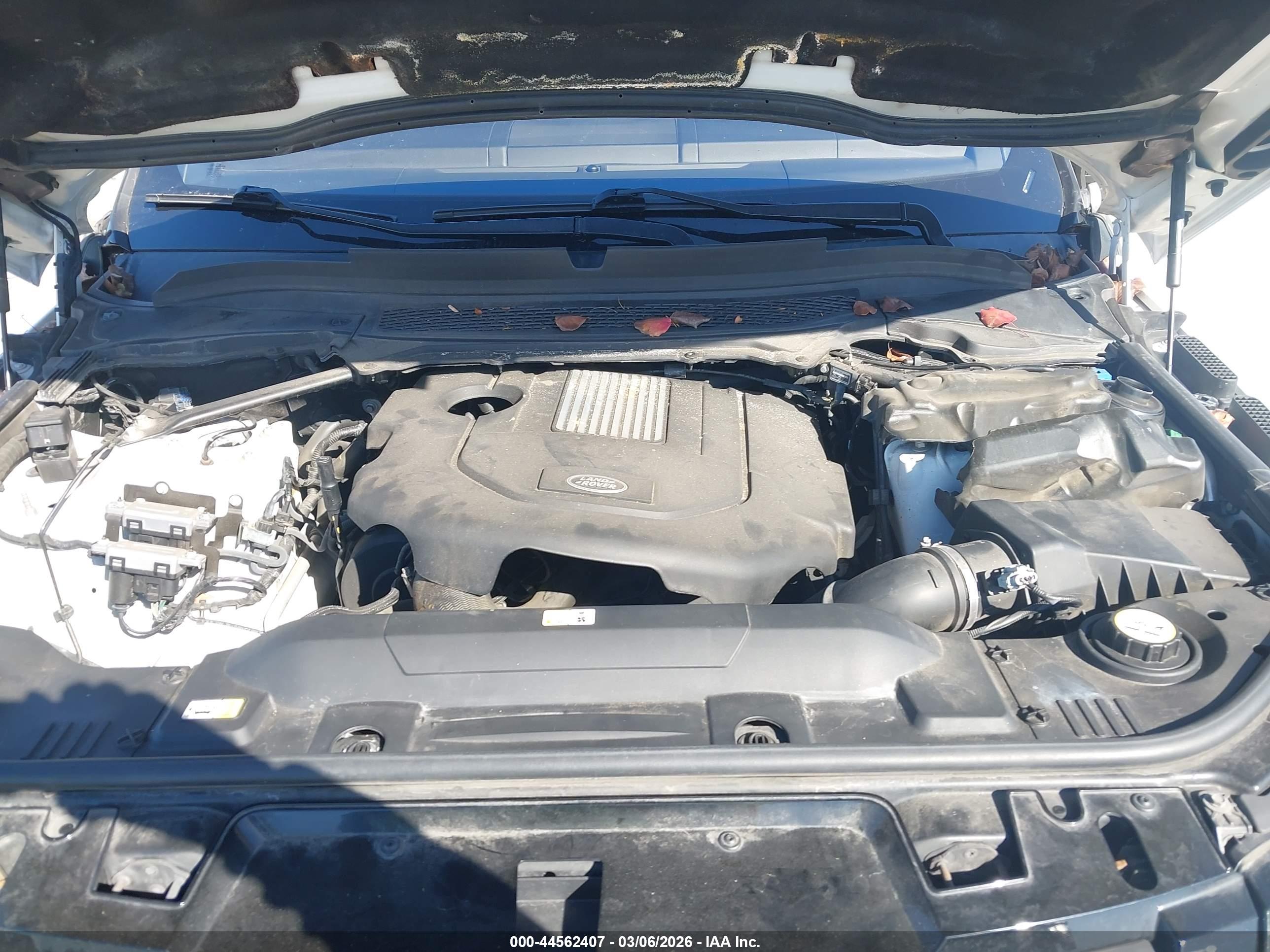 LAND ROVER image 10