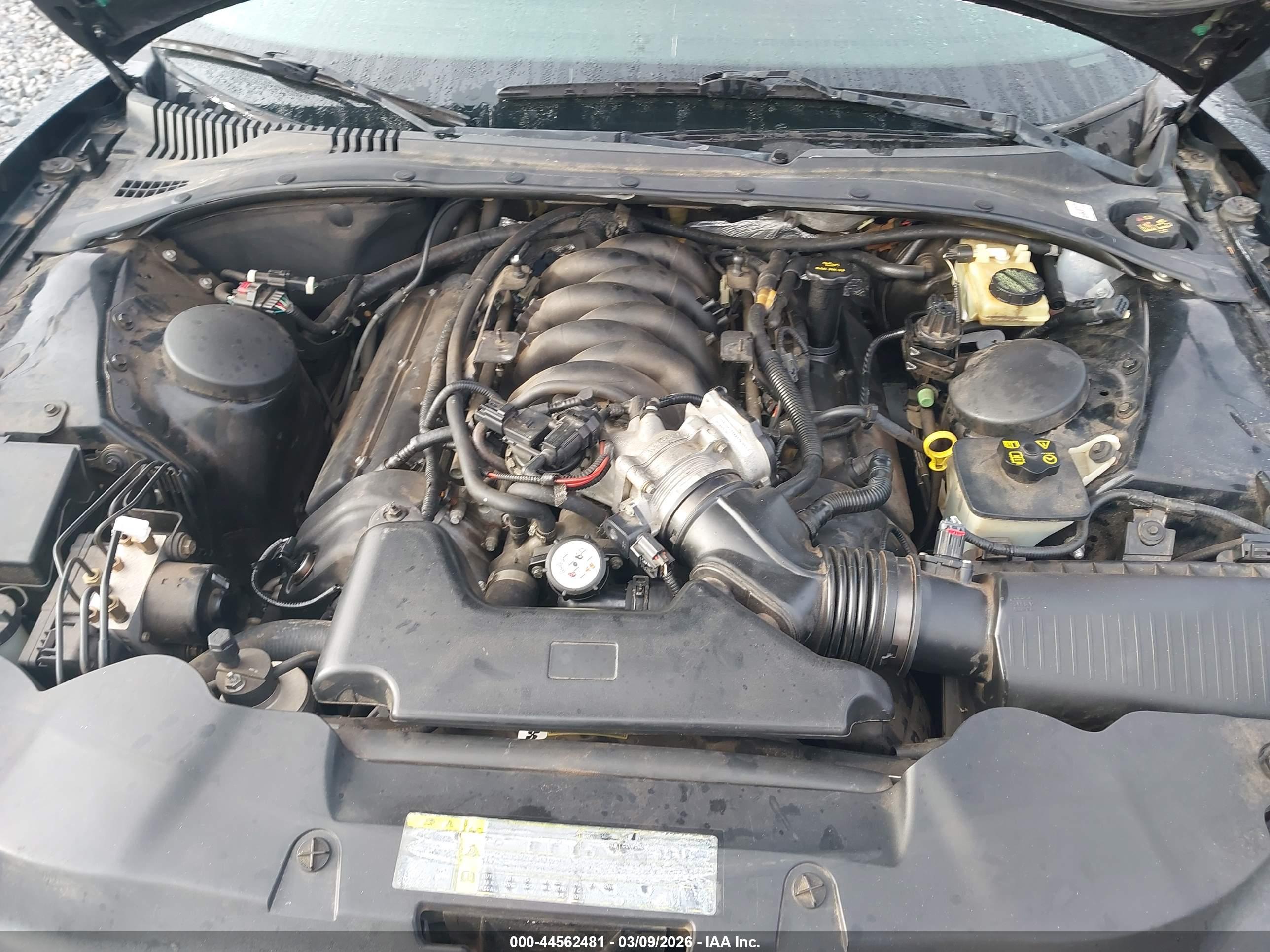 FORD THUNDERBIRD image 10