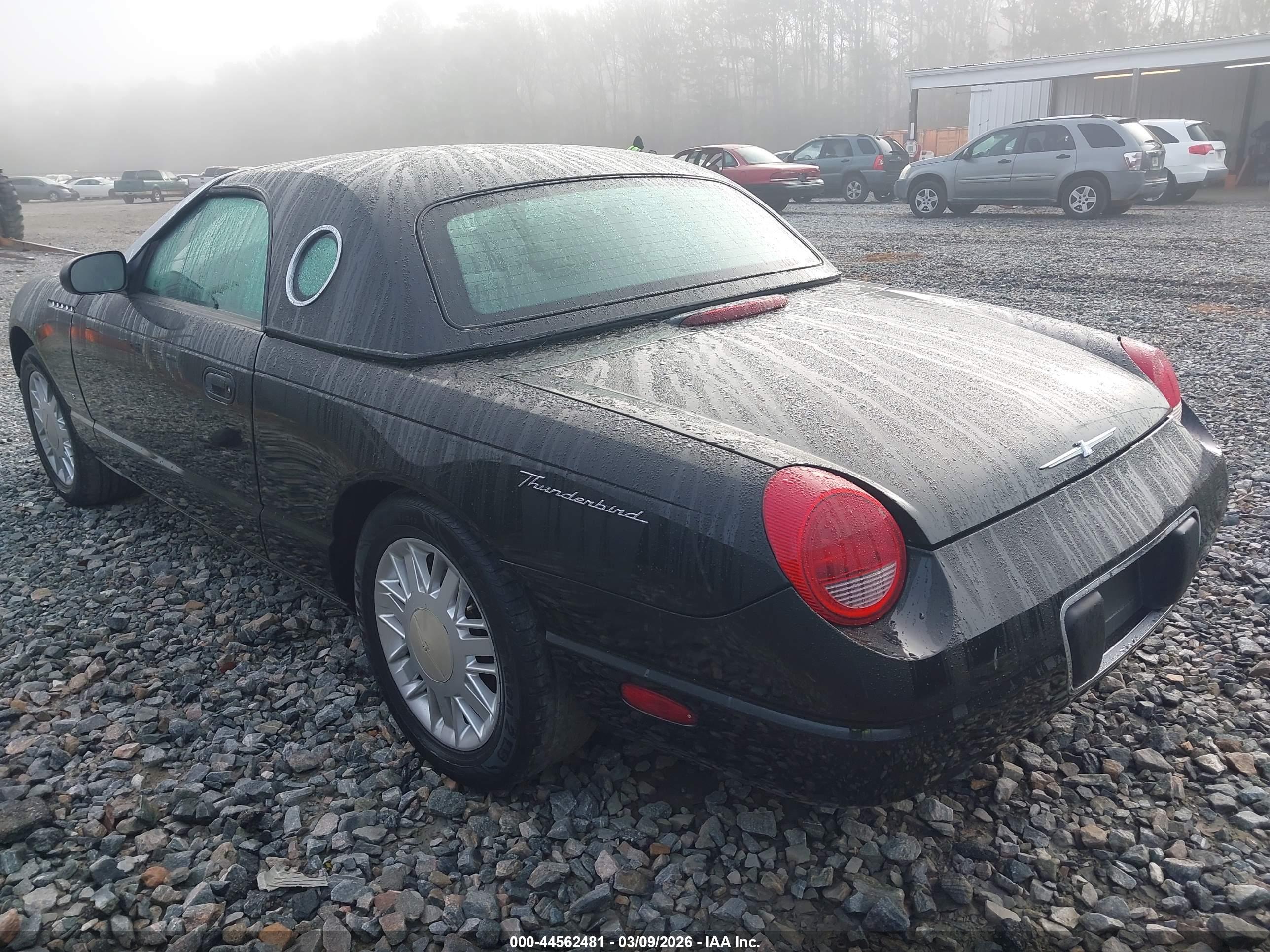 FORD THUNDERBIRD image 3