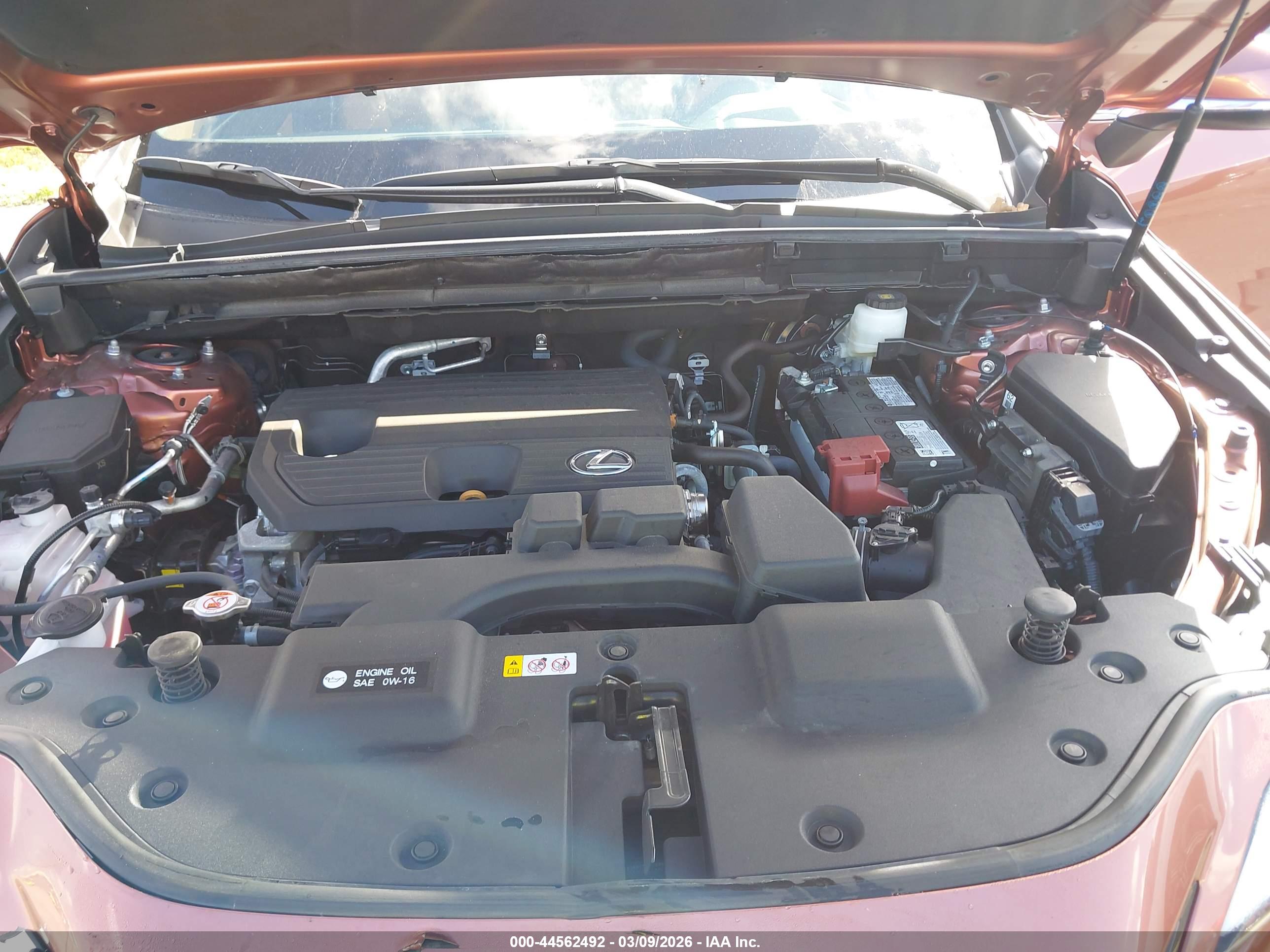 LEXUS NX image 10