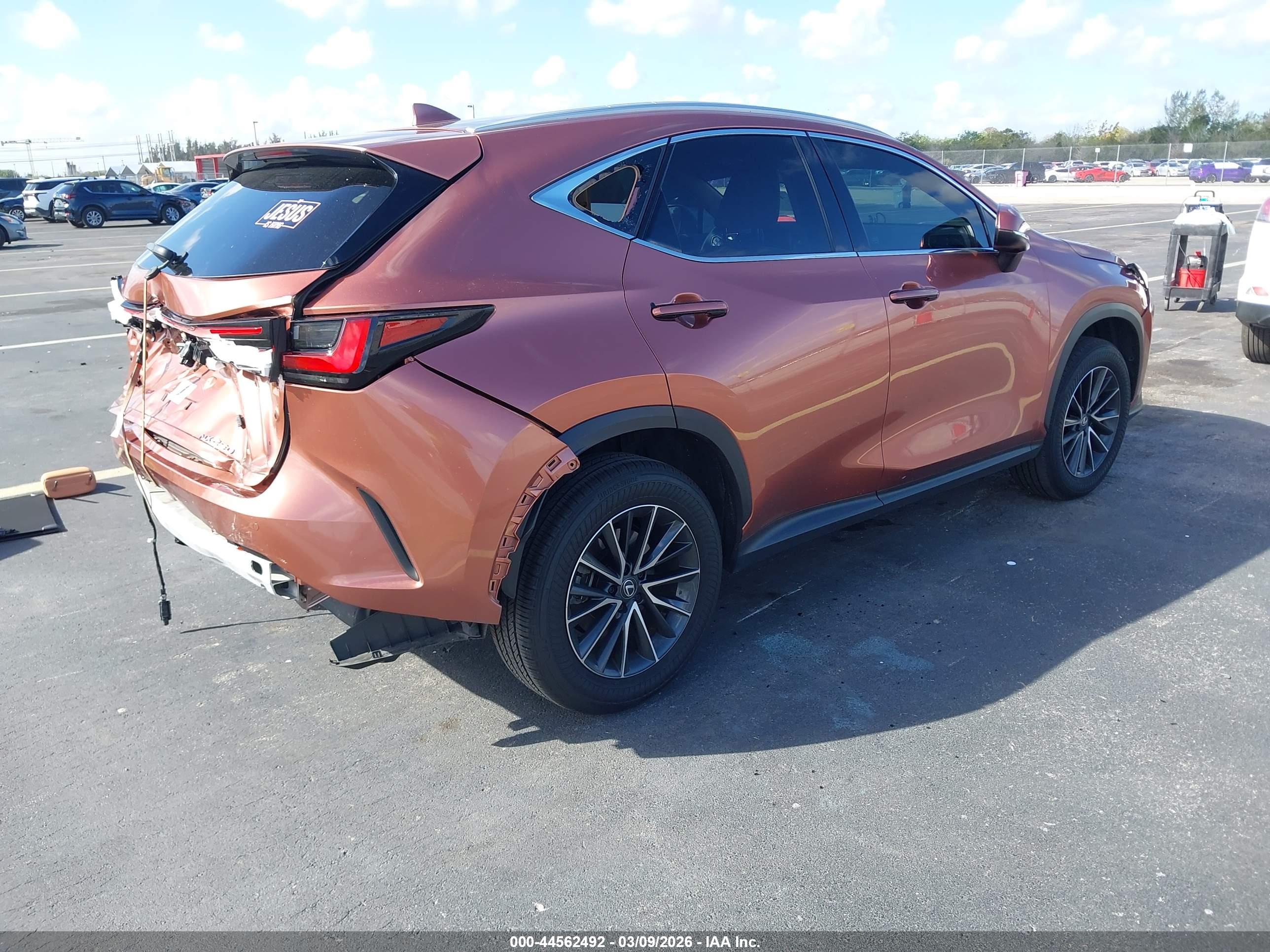LEXUS NX image 4