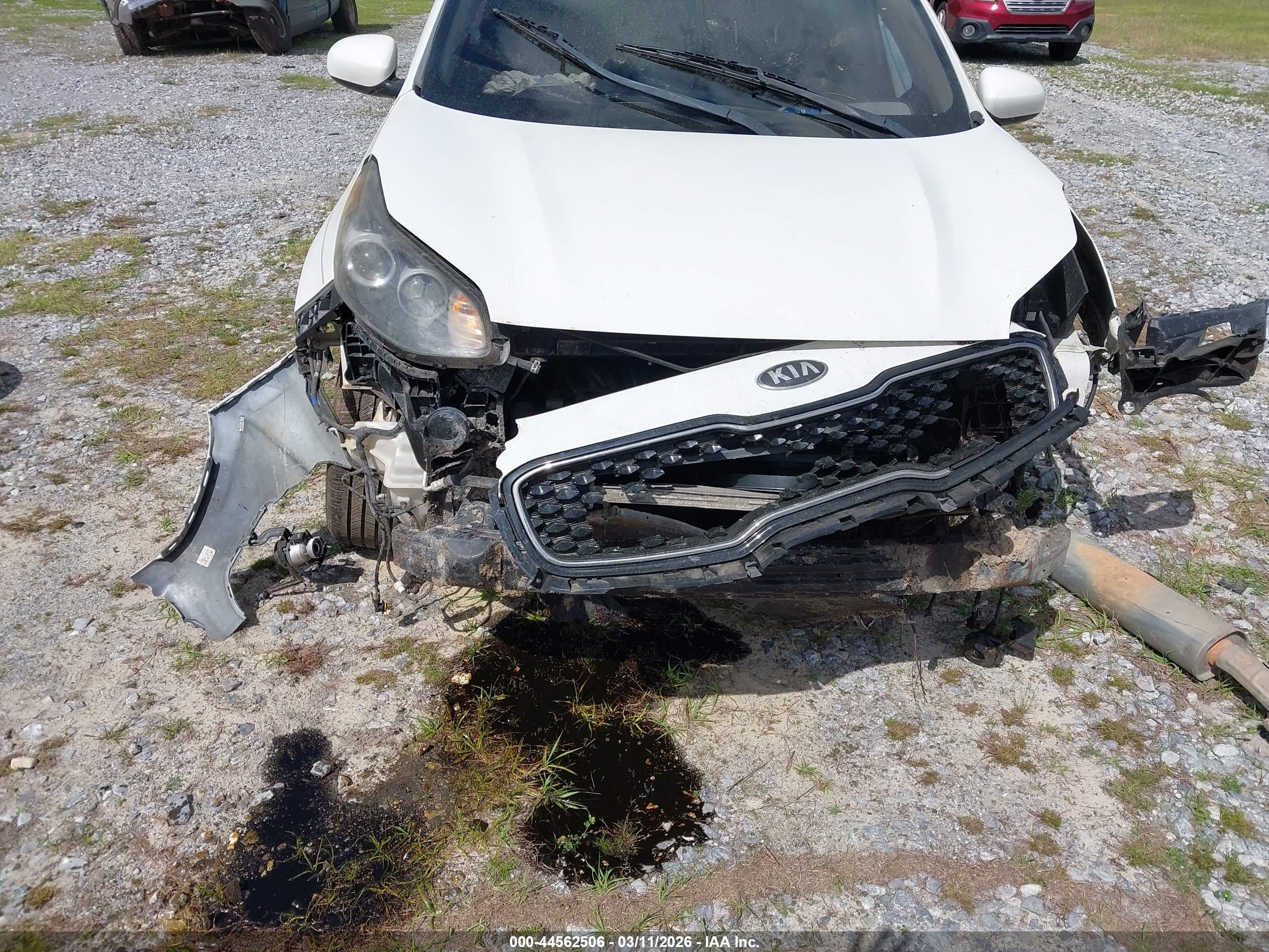 KIA SPORTAGE image 6