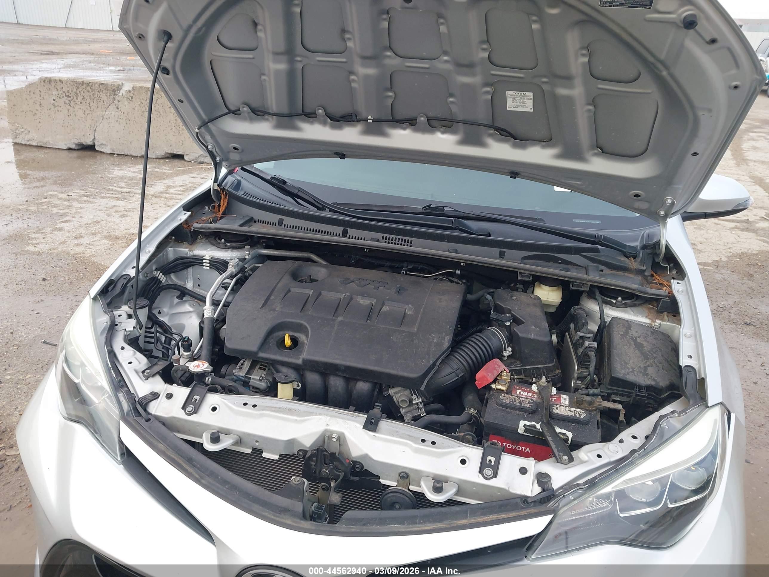 TOYOTA COROLLA image 10