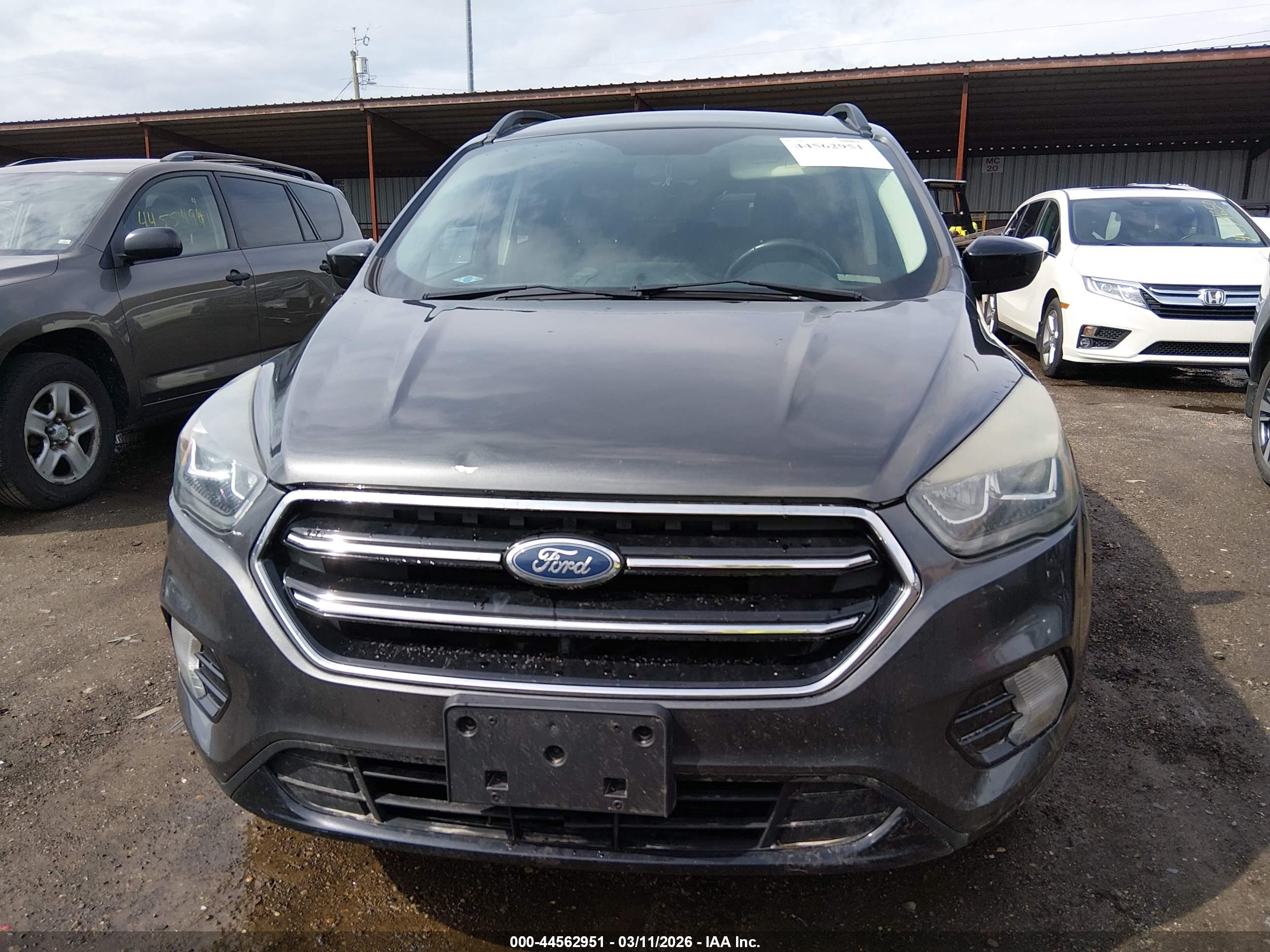 FORD ESCAPE image 6