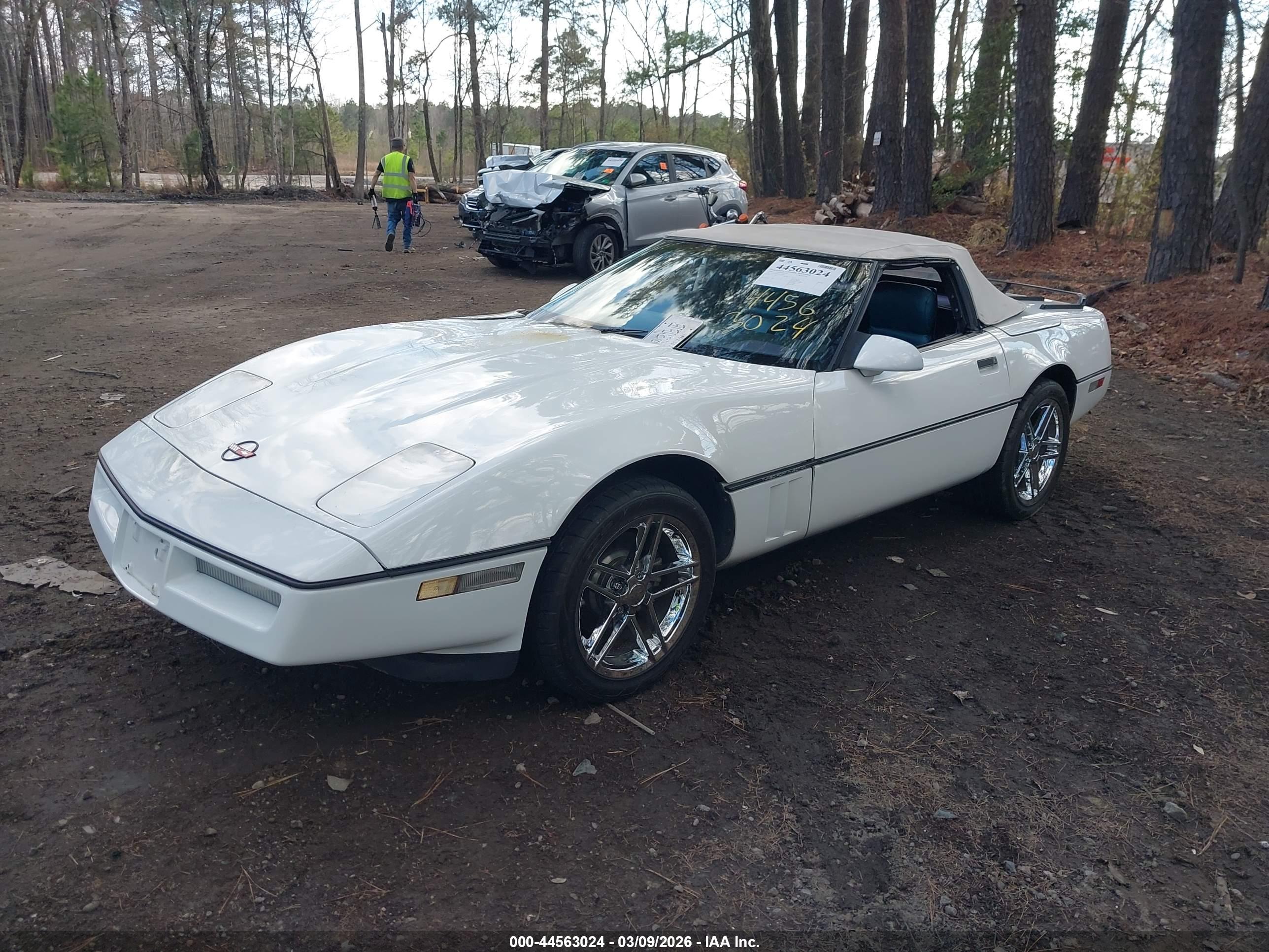 CHEVROLET CORVETTE image 2
