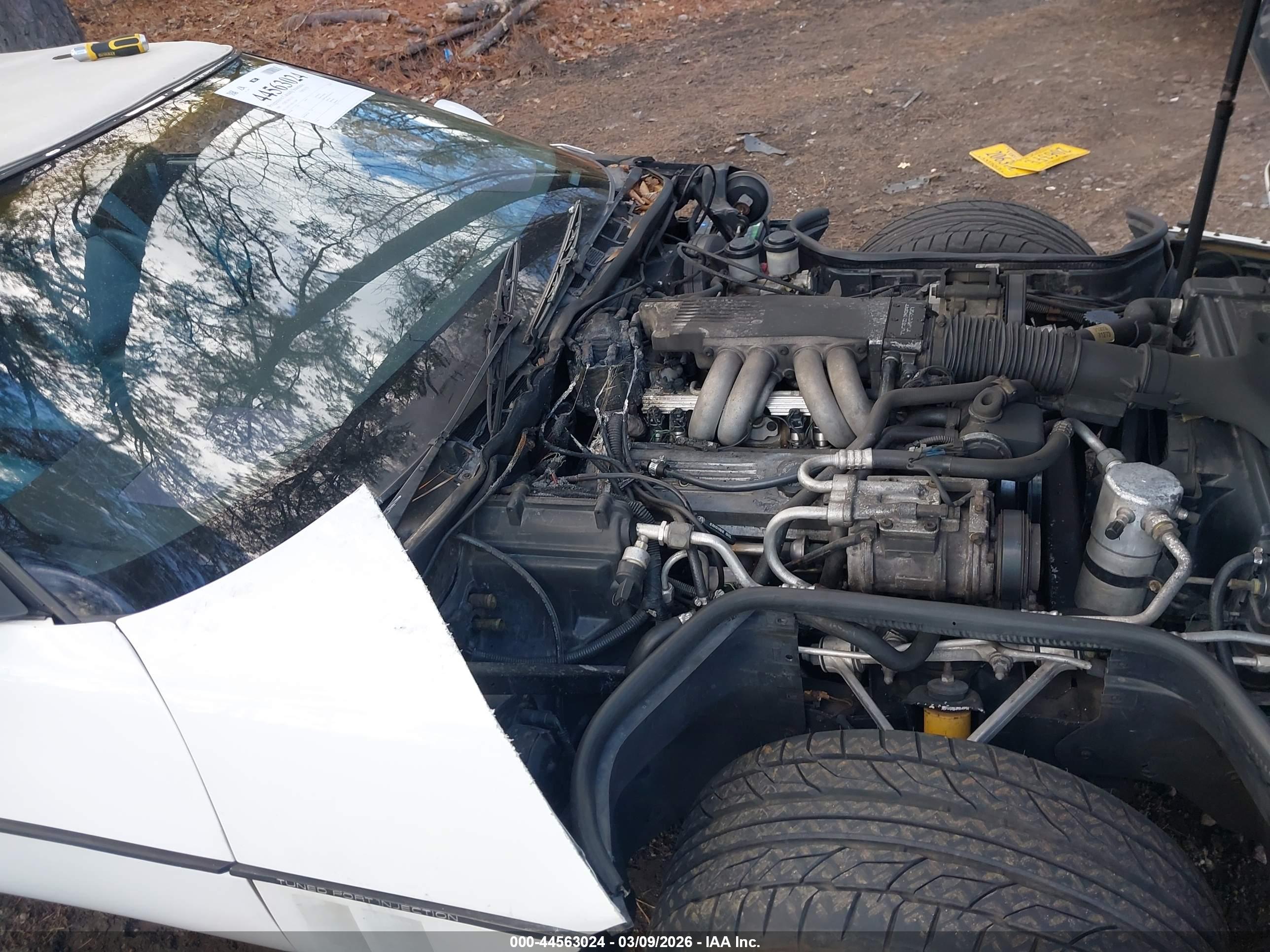 CHEVROLET CORVETTE image 6