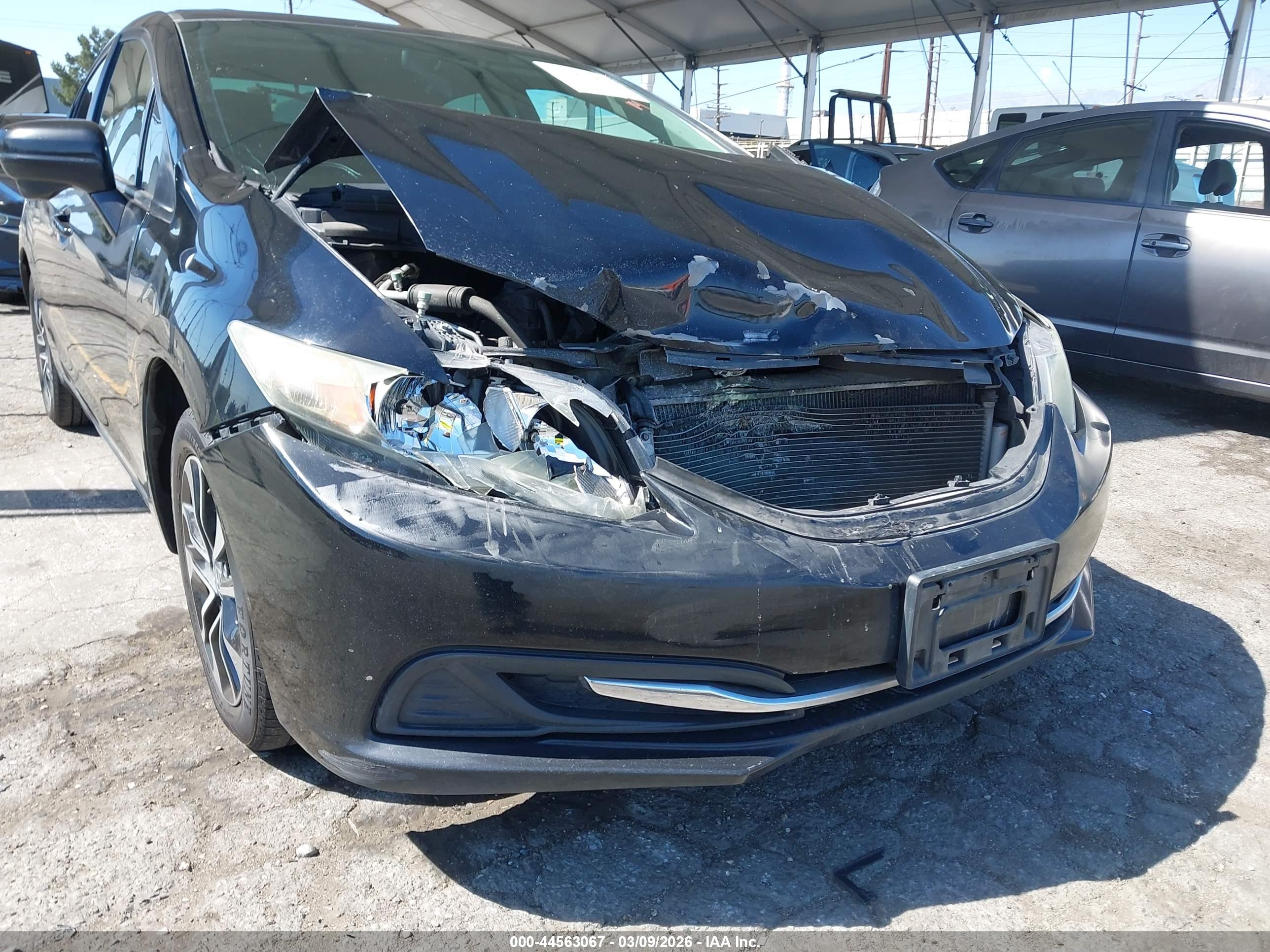 HONDA CIVIC image 6