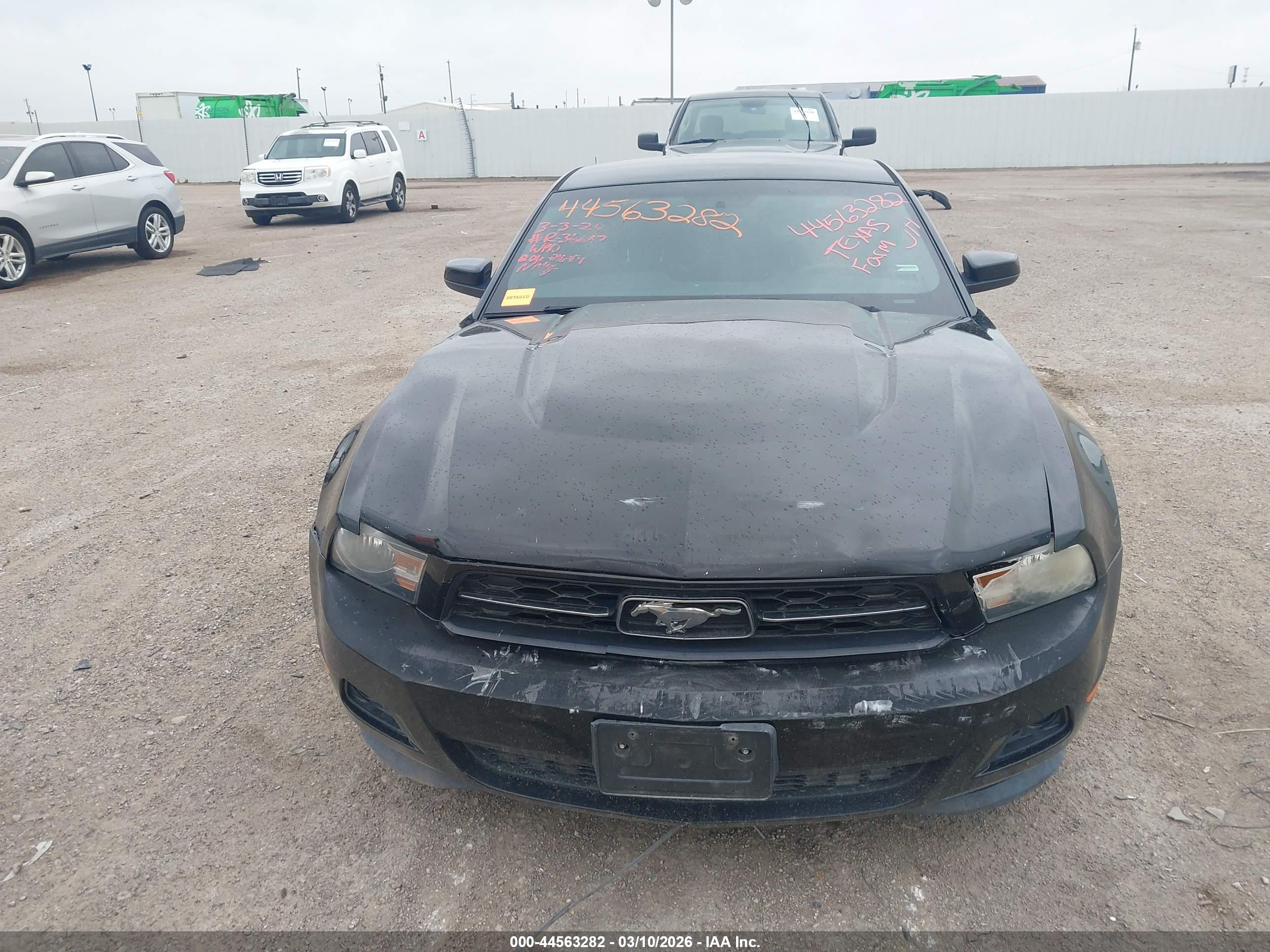 FORD MUSTANG image 6