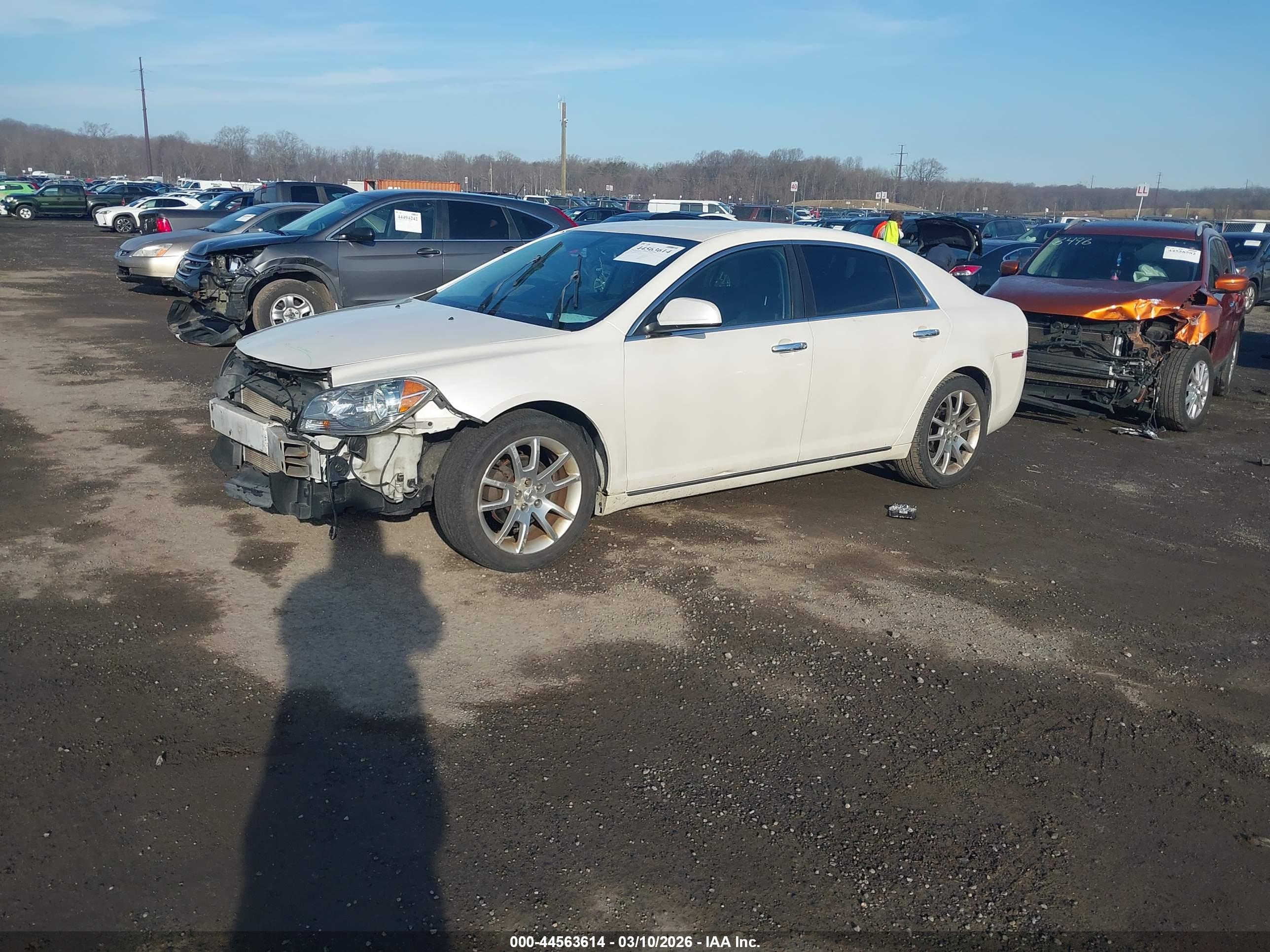 CHEVROLET MALIBU image 2