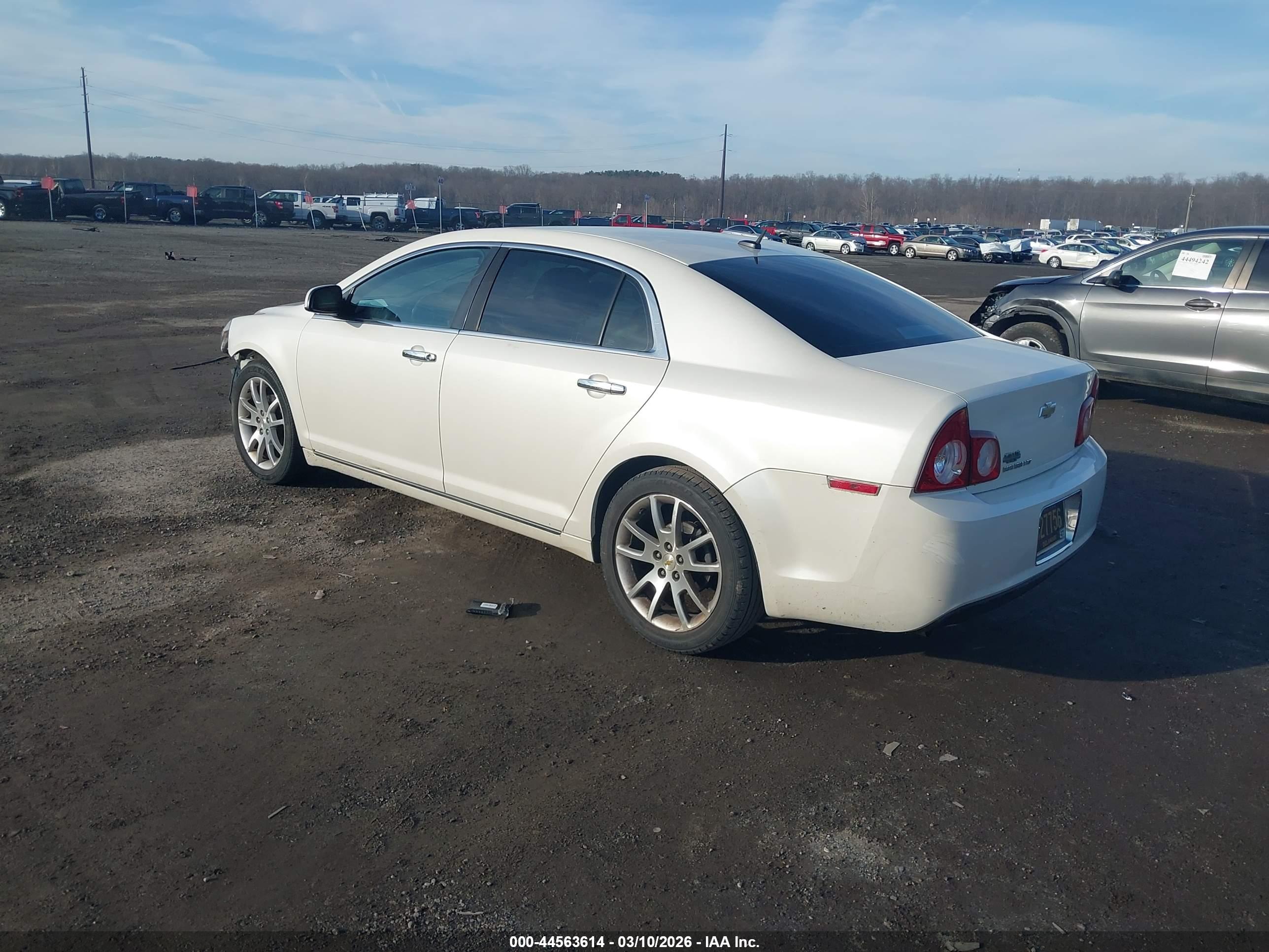 CHEVROLET MALIBU image 3