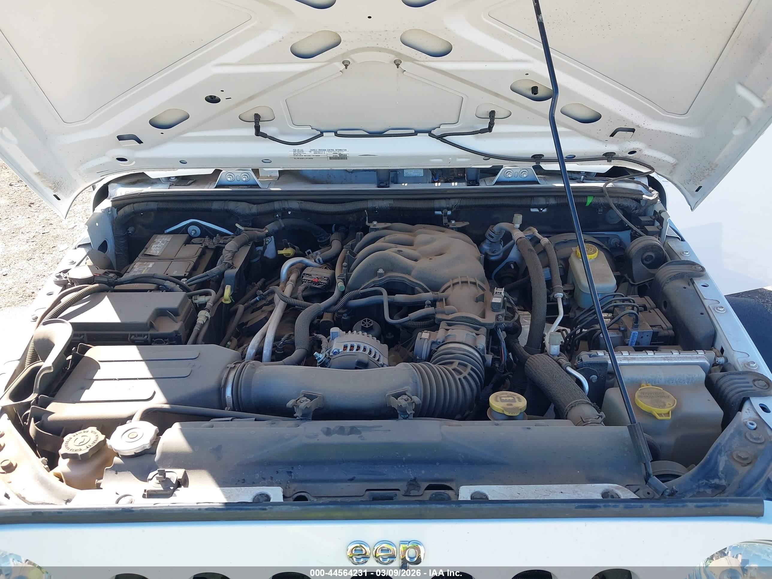 JEEP WRANGLER image 10