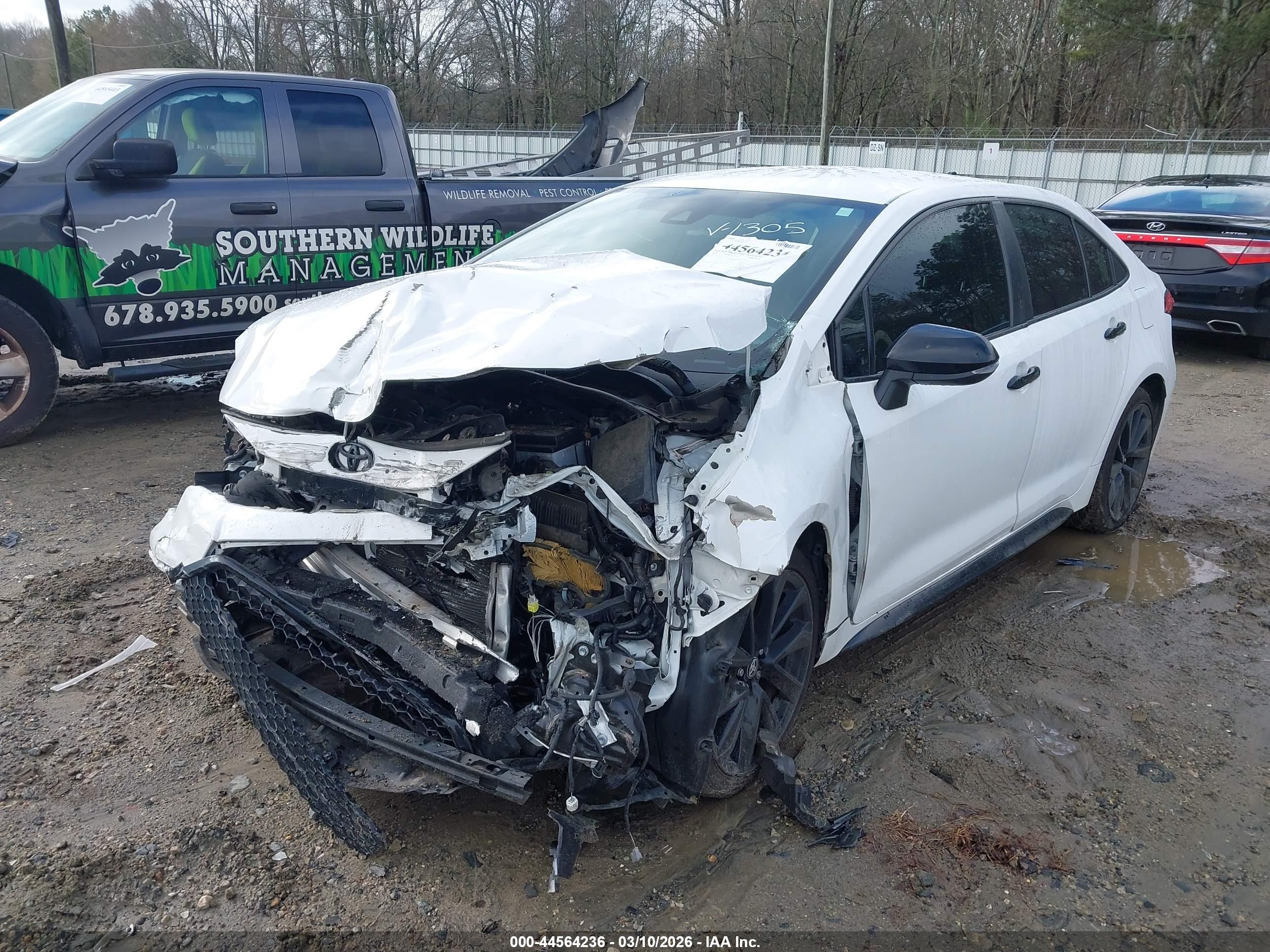 TOYOTA COROLLA image 6