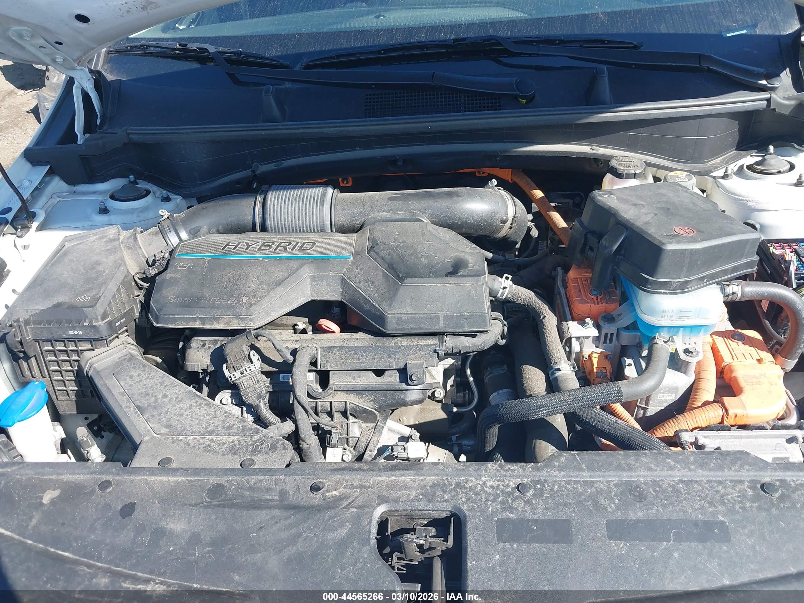 KIA SPORTAGE image 10