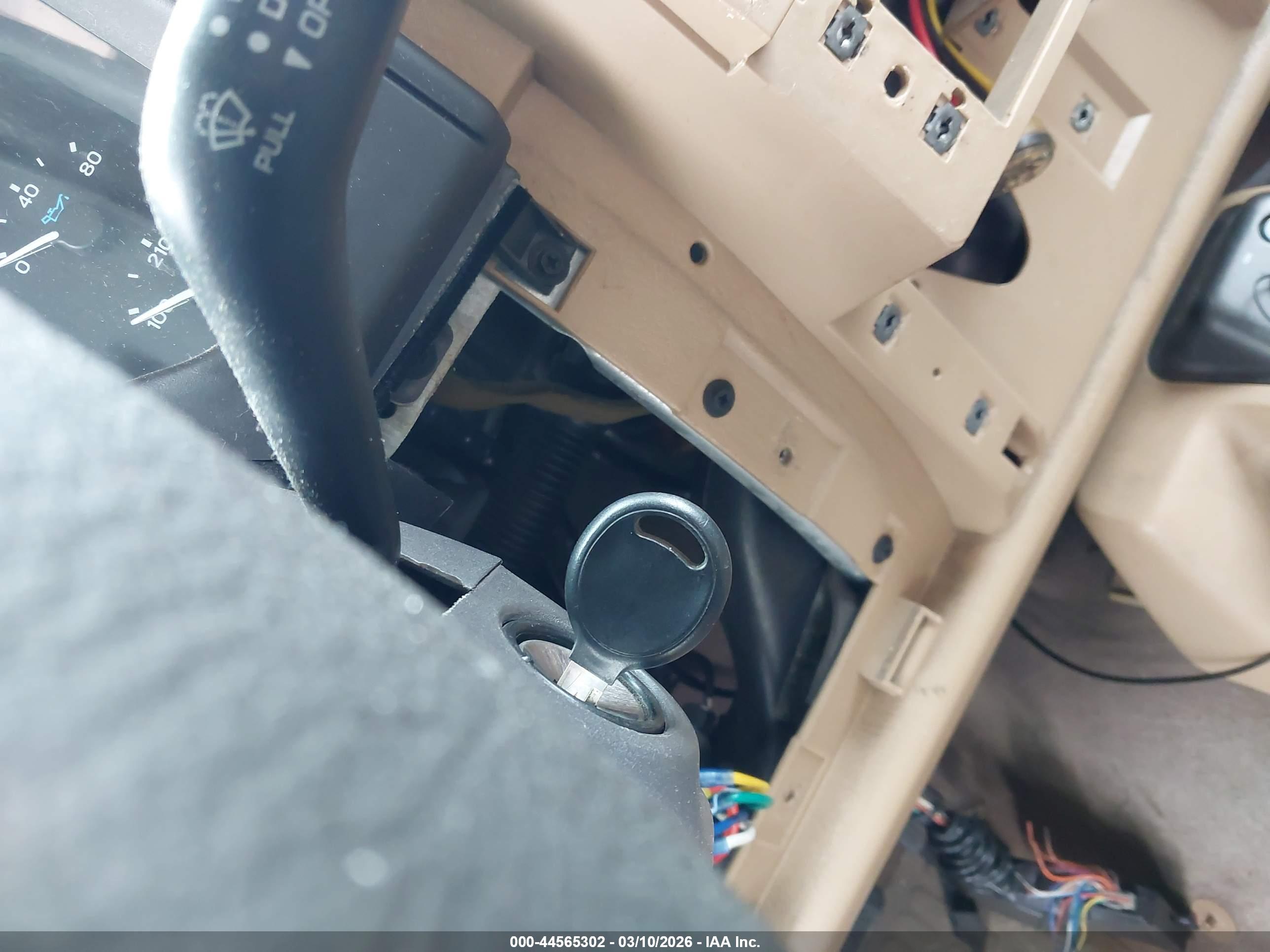 JEEP WRANGLER image 11