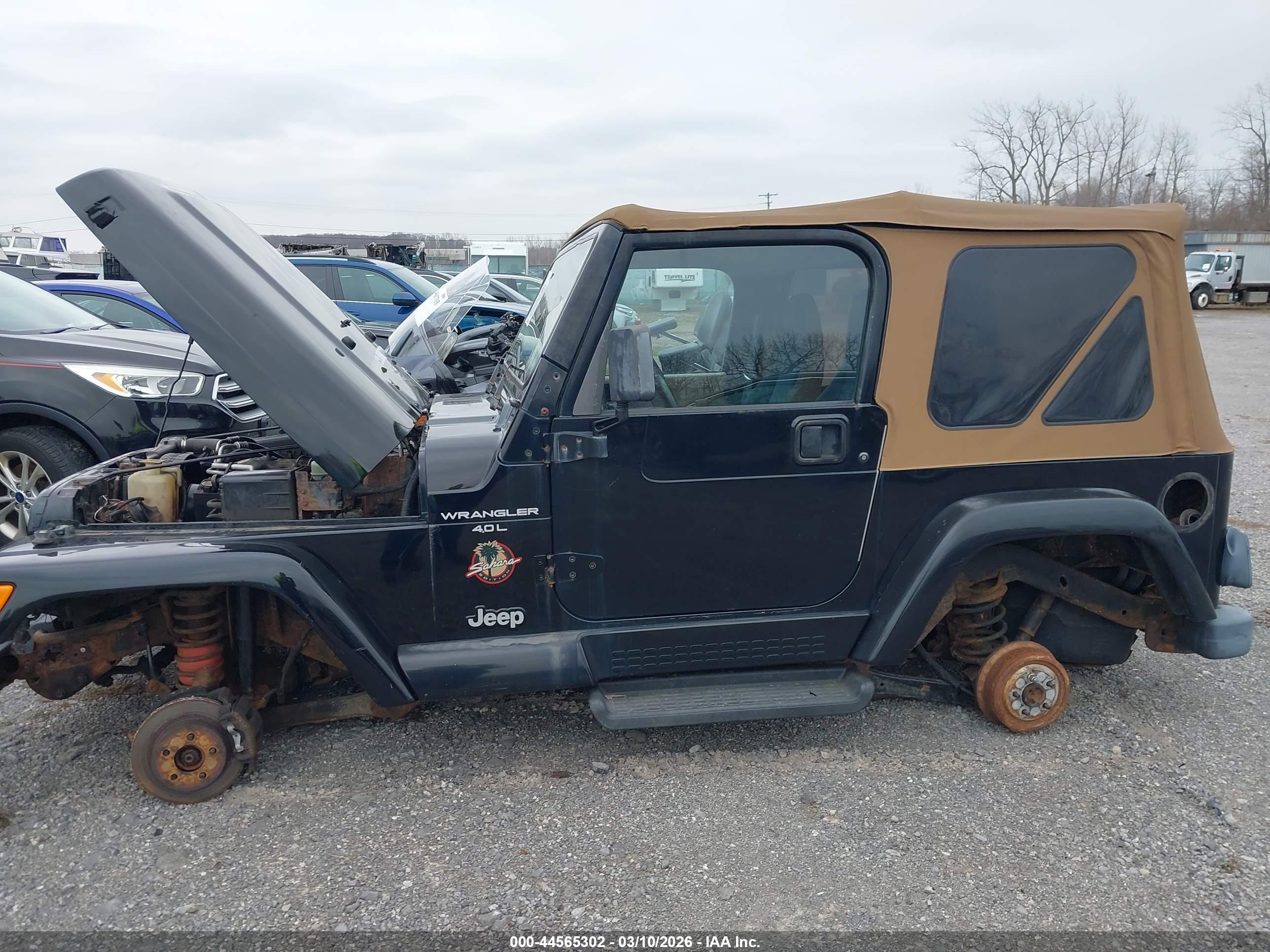 JEEP WRANGLER image 6