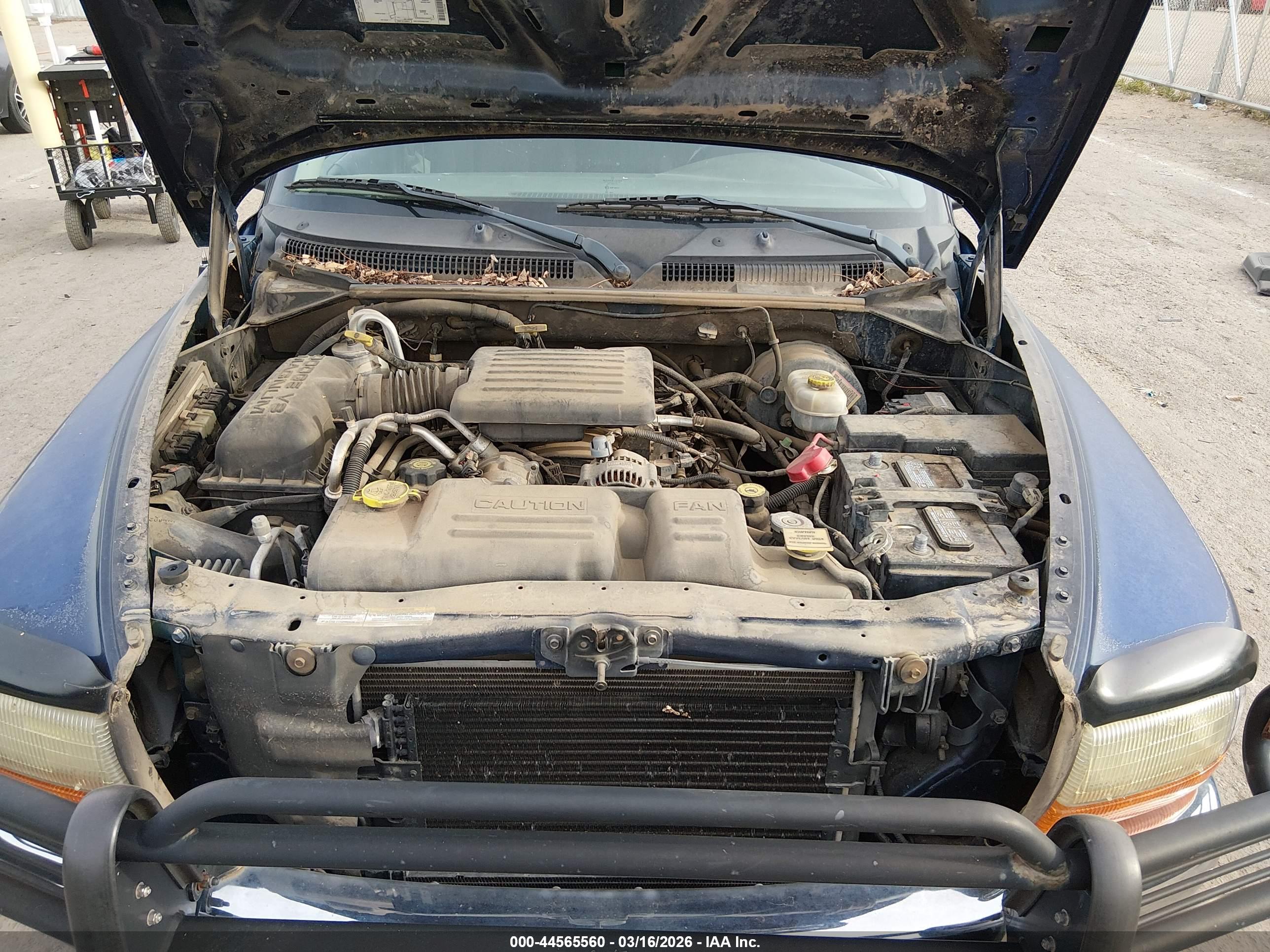 DODGE DAKOTA image 10