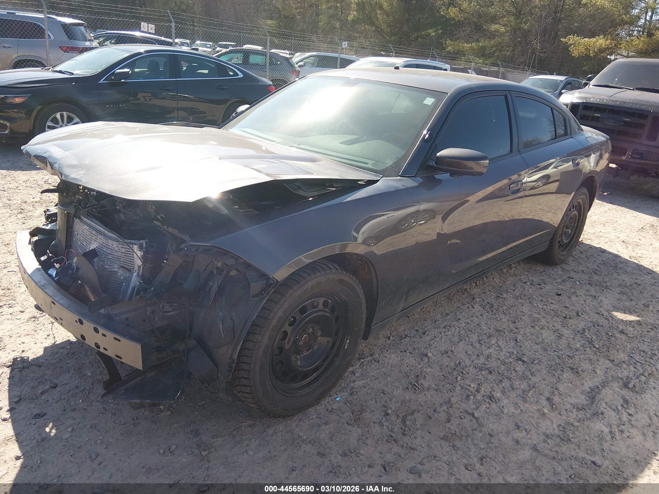 DODGE CHARGER image 2