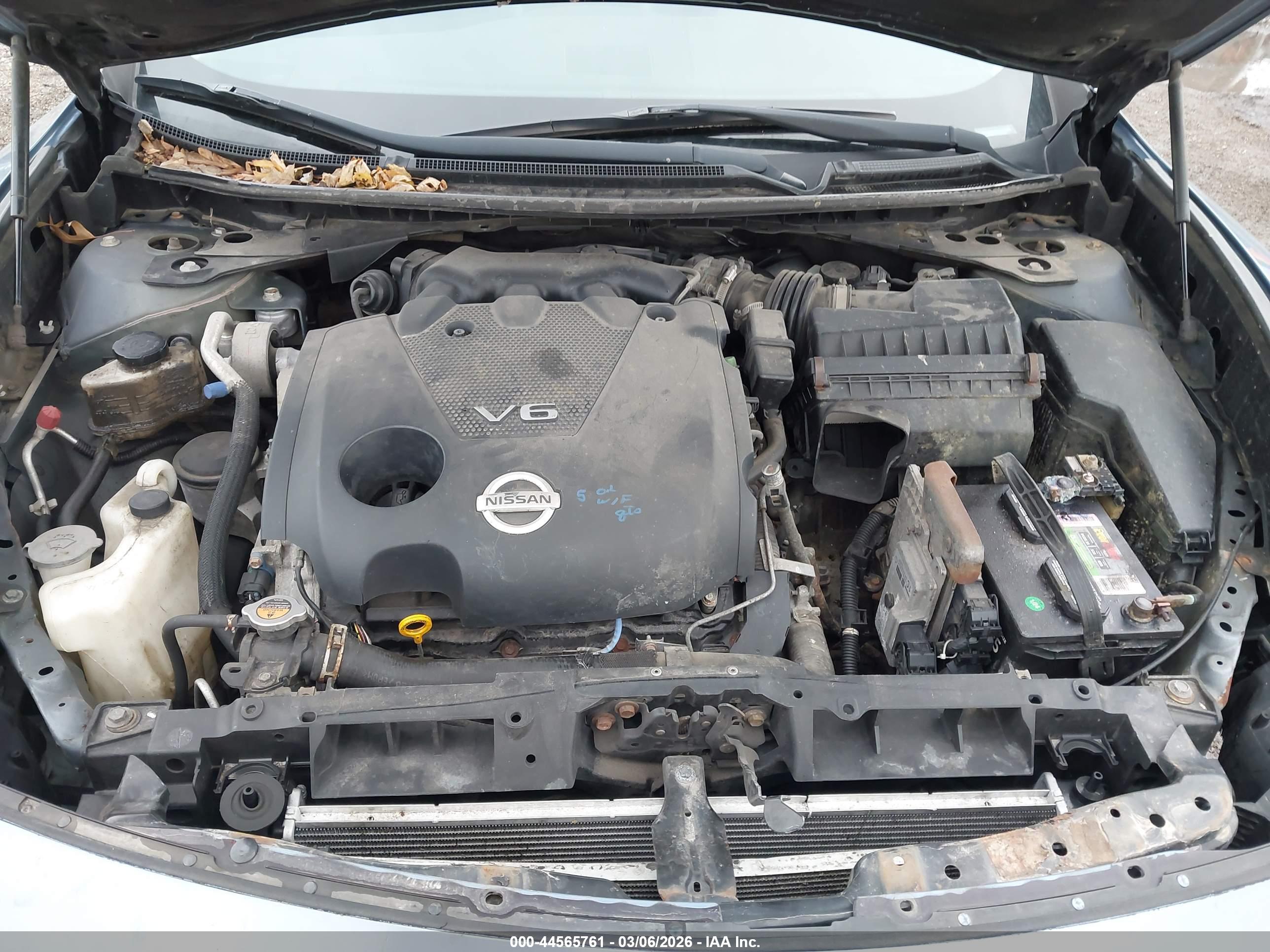 NISSAN MAXIMA image 10