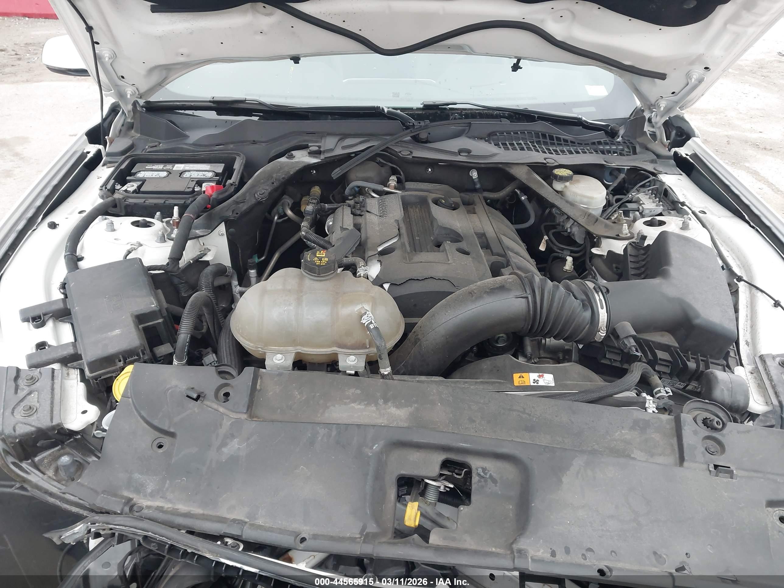 FORD MUSTANG image 10