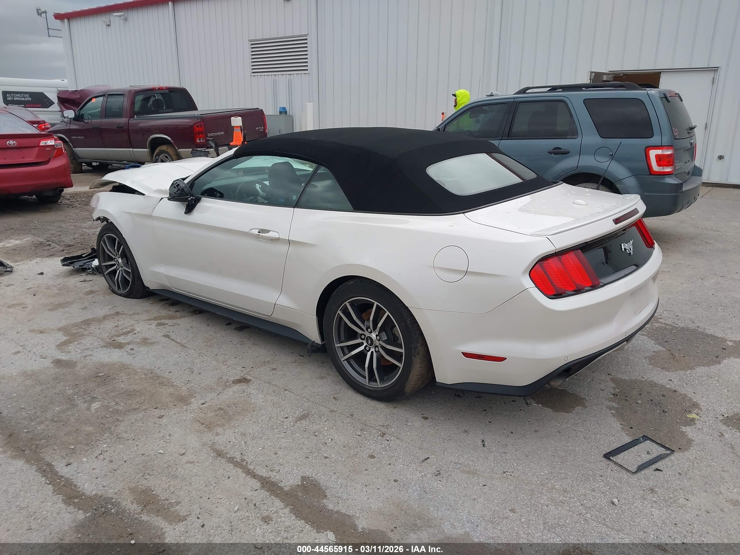 FORD MUSTANG image 3