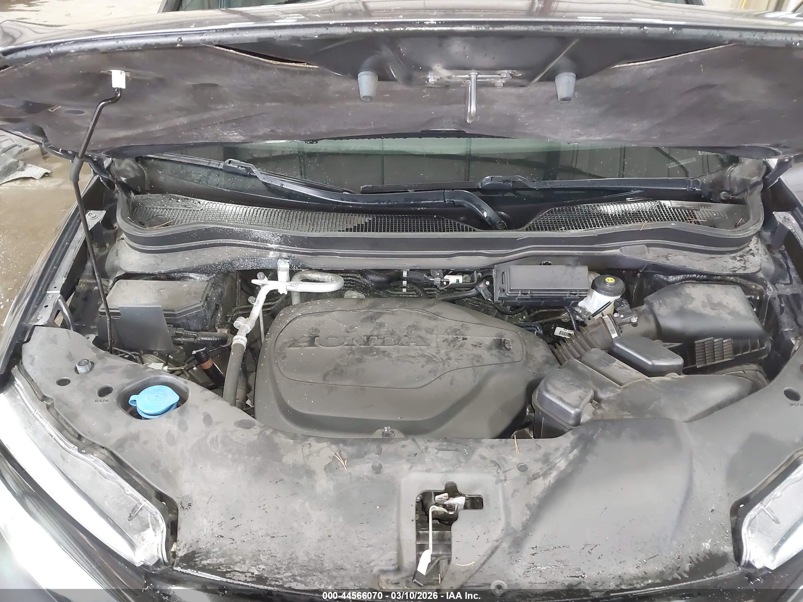 HONDA PASSPORT image 10