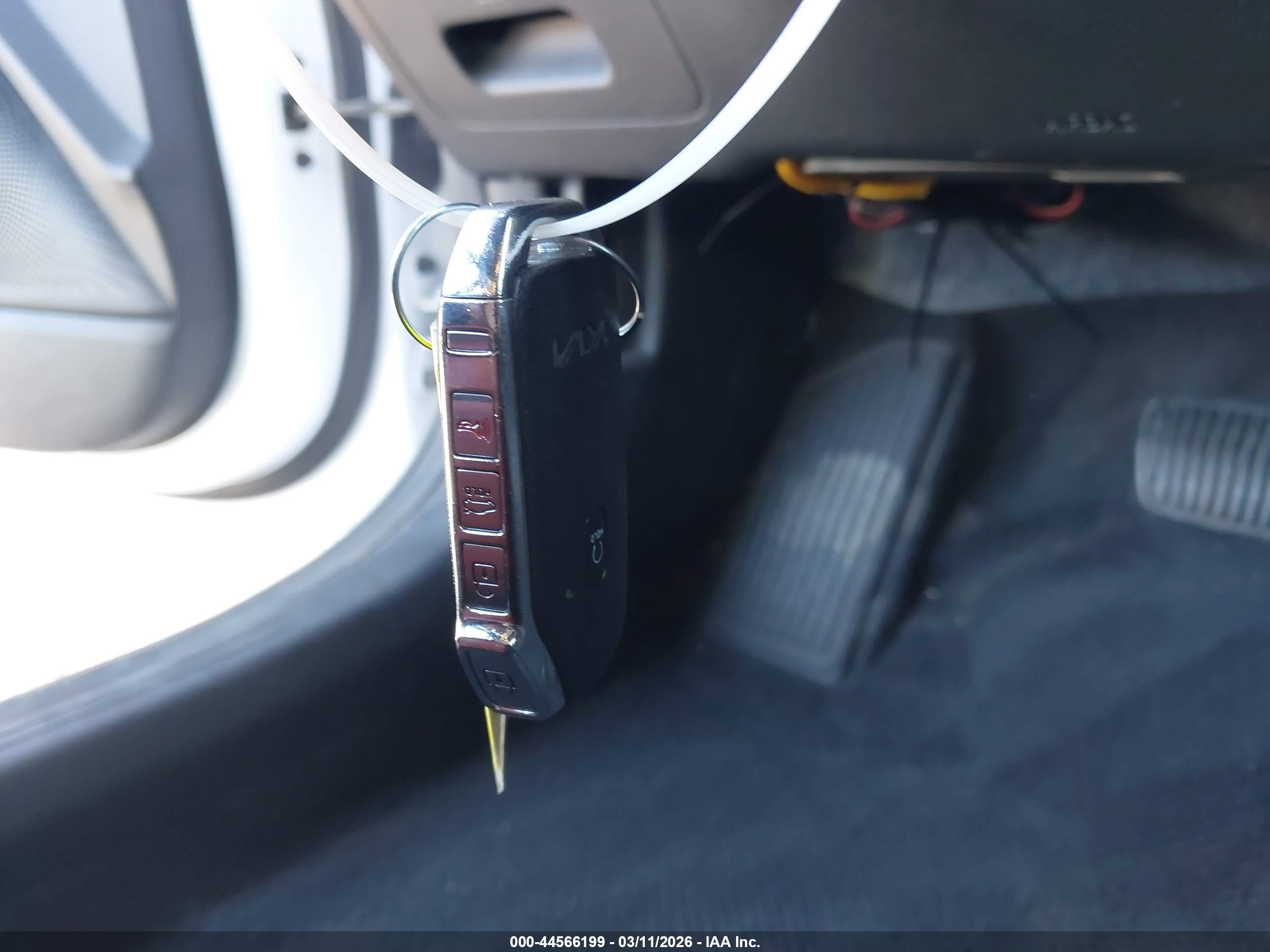 KIA K5 image 11