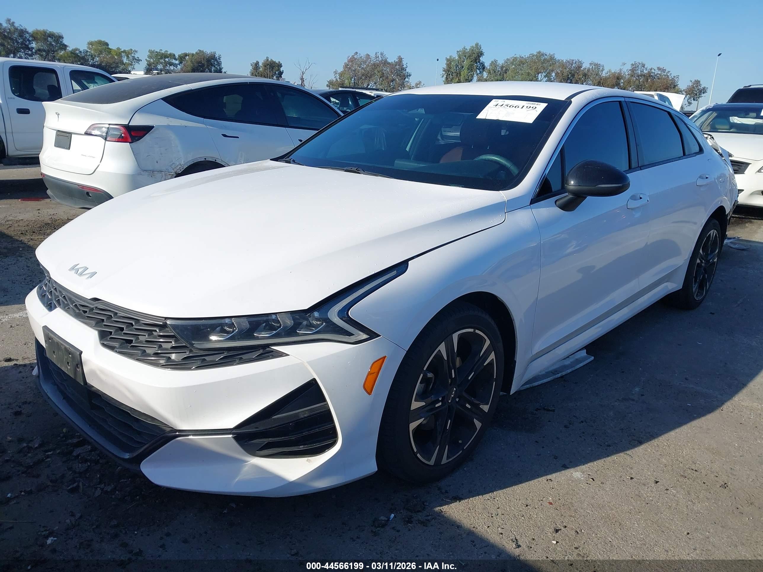 KIA K5 image 2