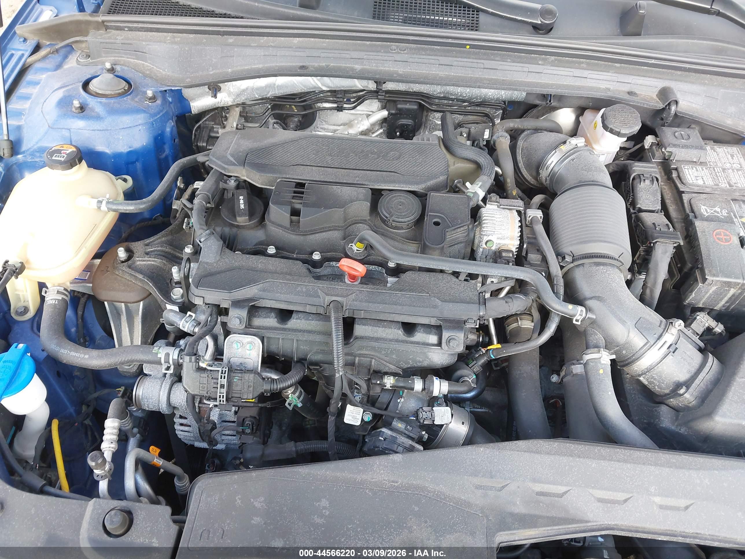KIA K5 image 10