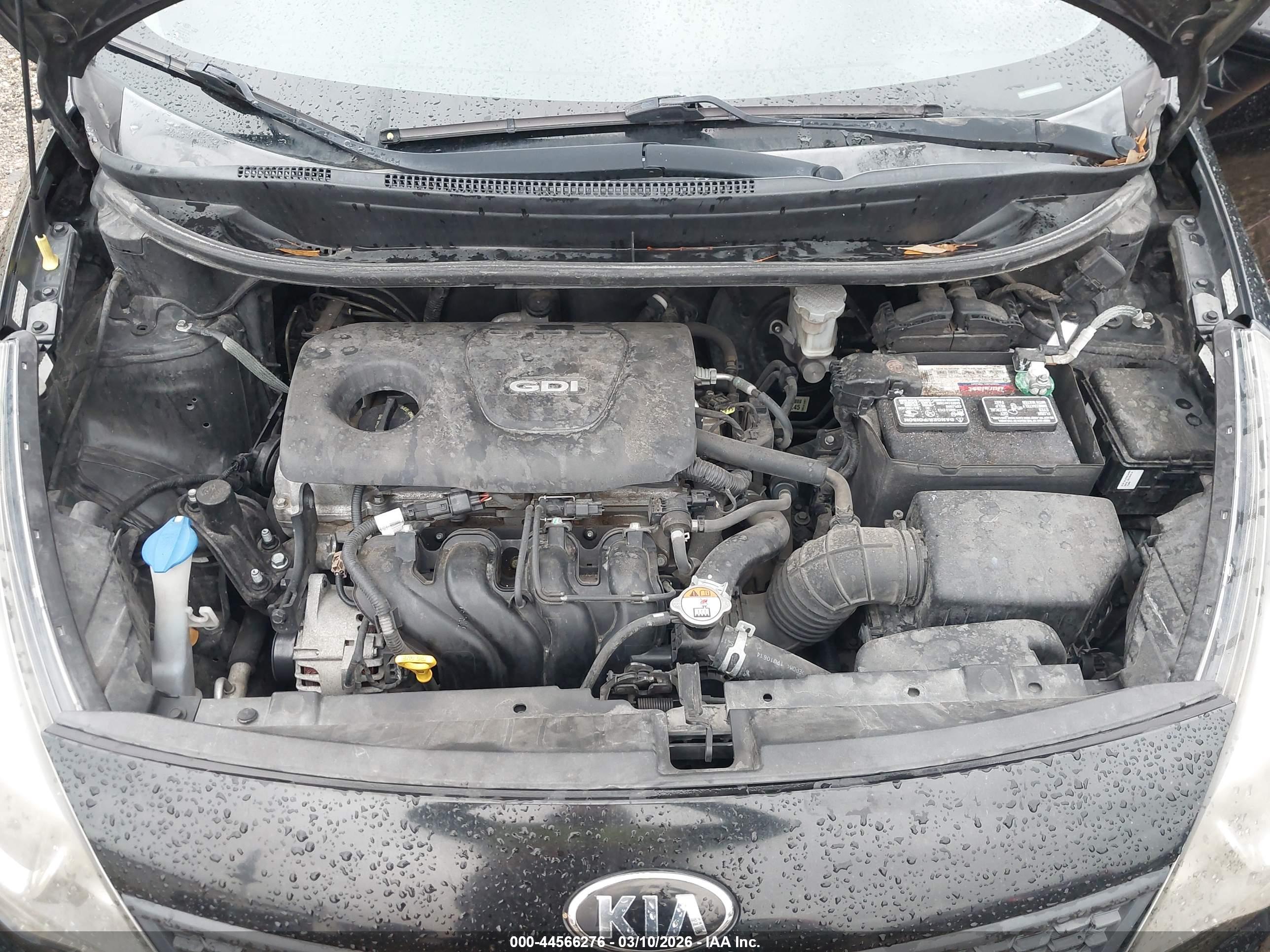 KIA RIO image 10