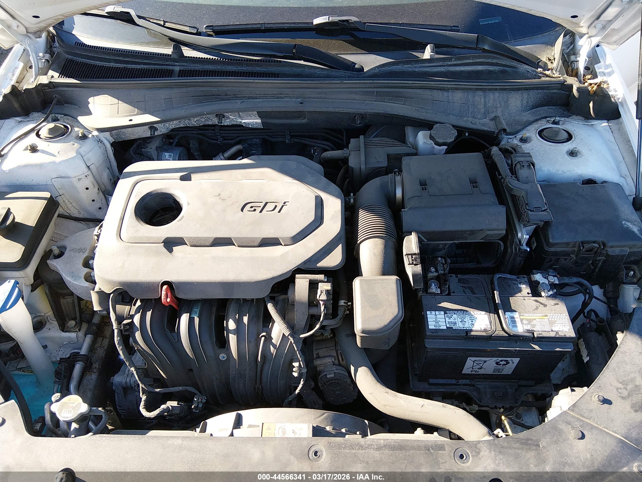 KIA OPTIMA image 10