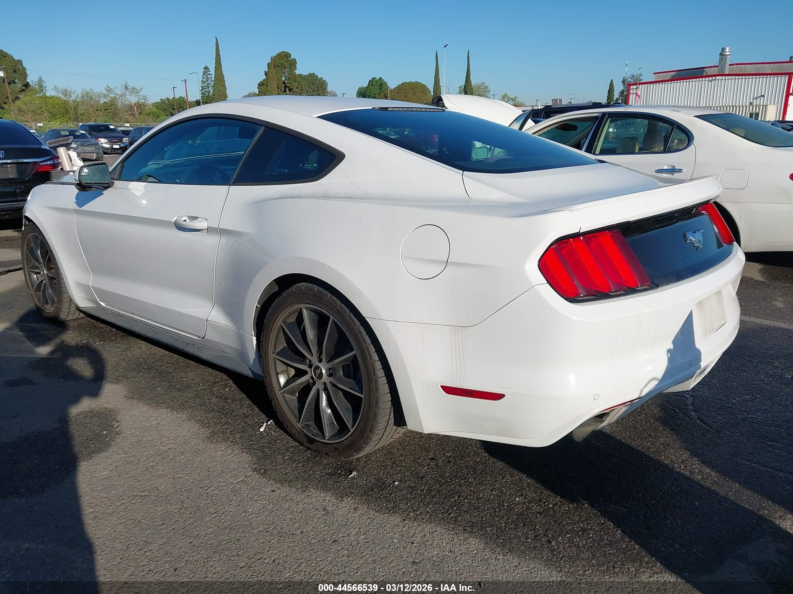 FORD MUSTANG image 3