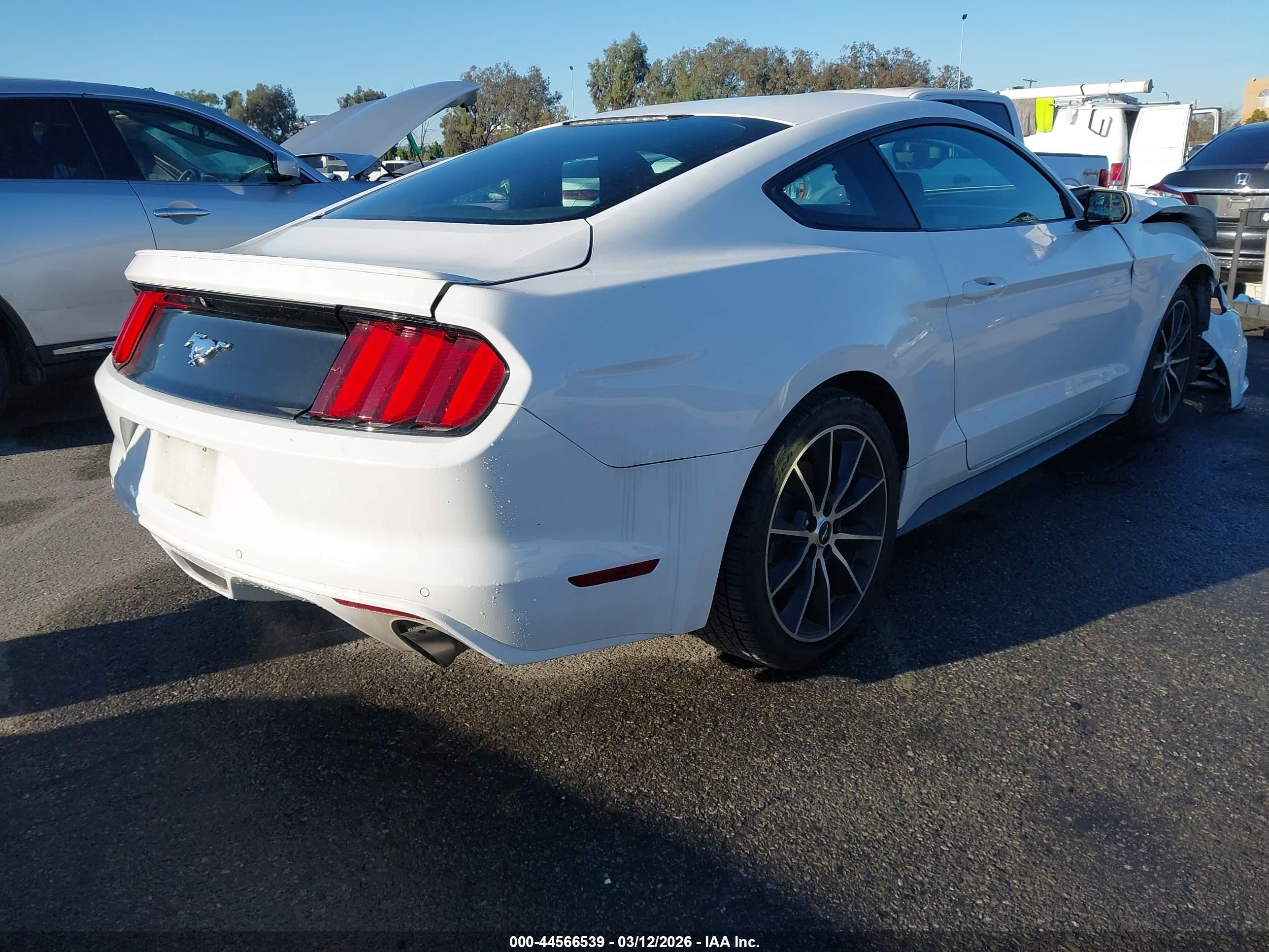 FORD MUSTANG image 4