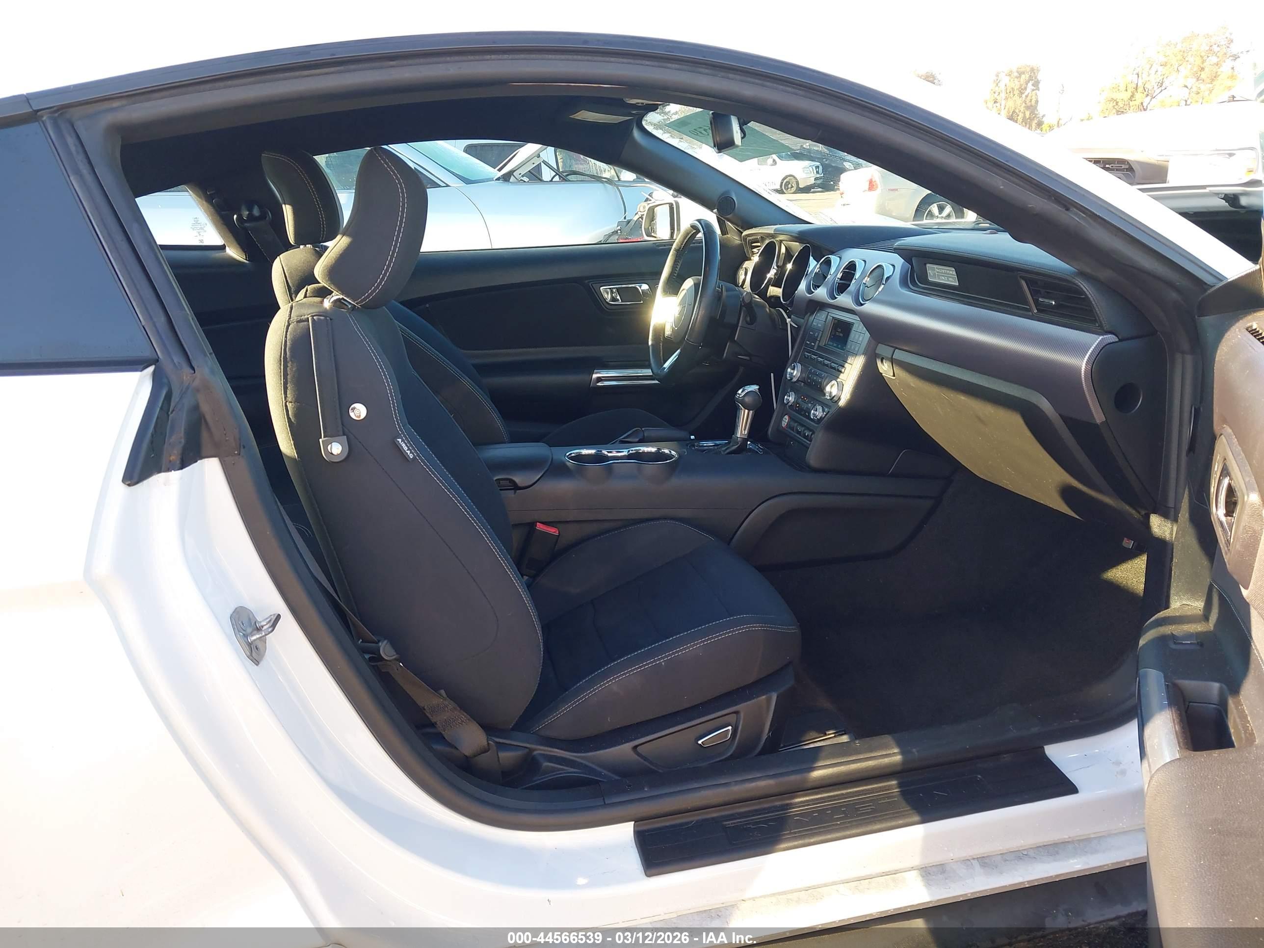 FORD MUSTANG image 5