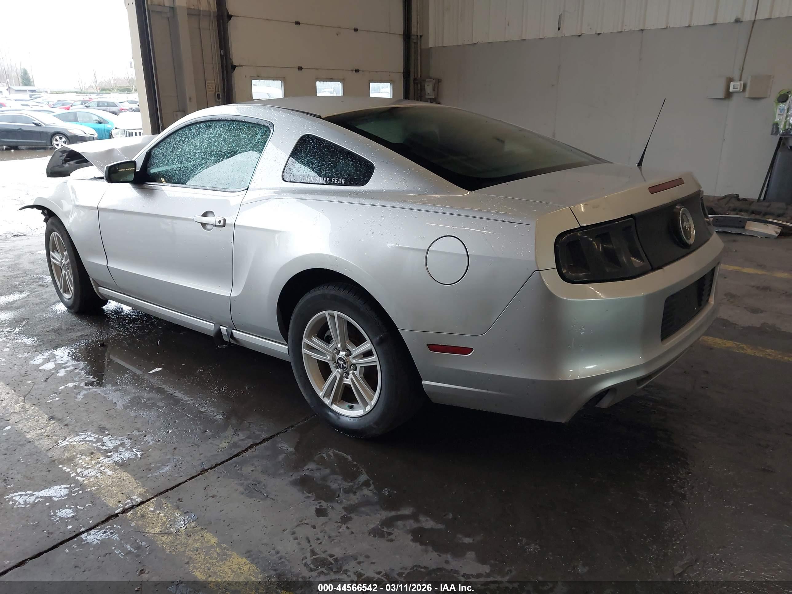 FORD MUSTANG image 3