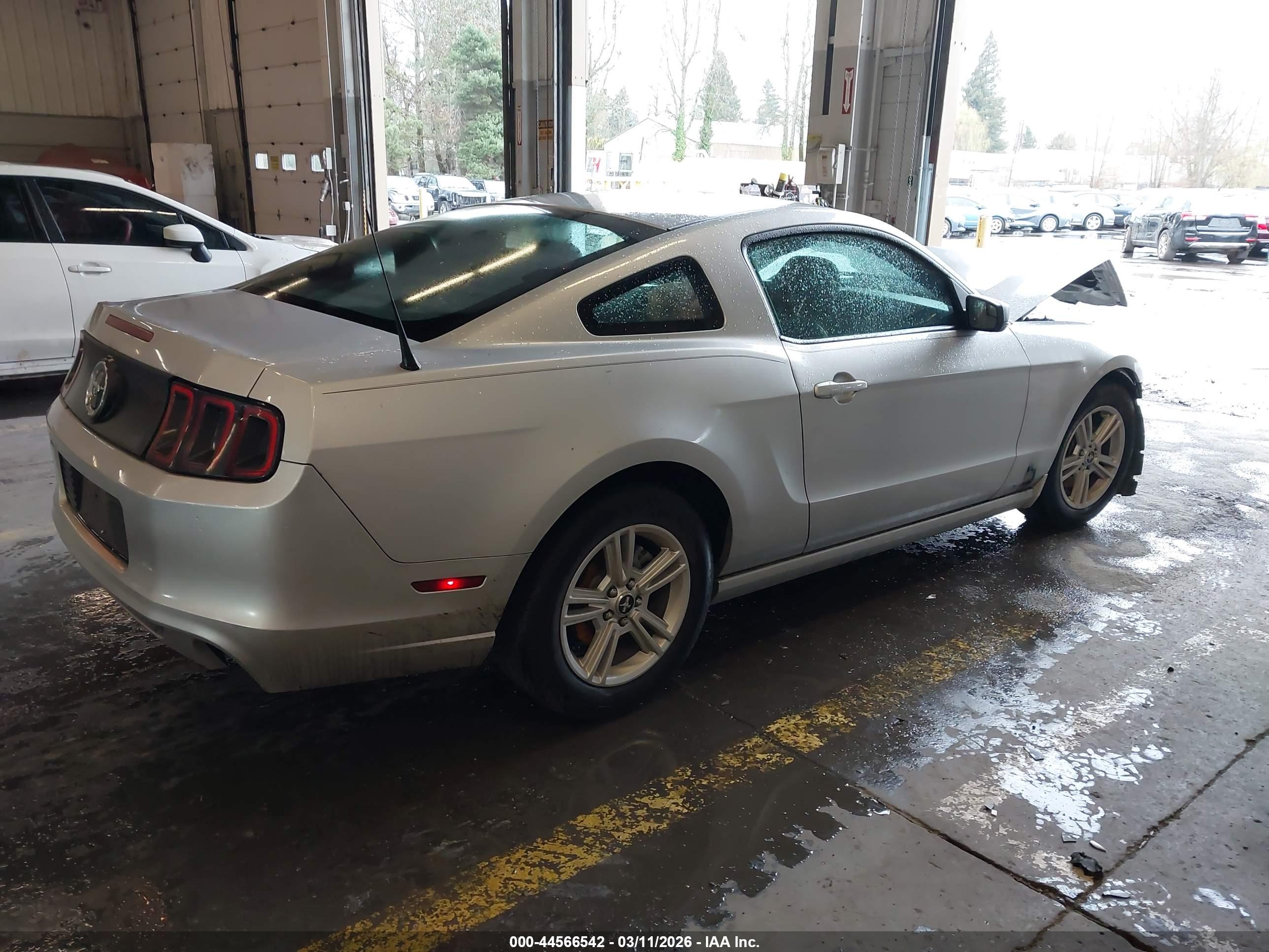 FORD MUSTANG image 4