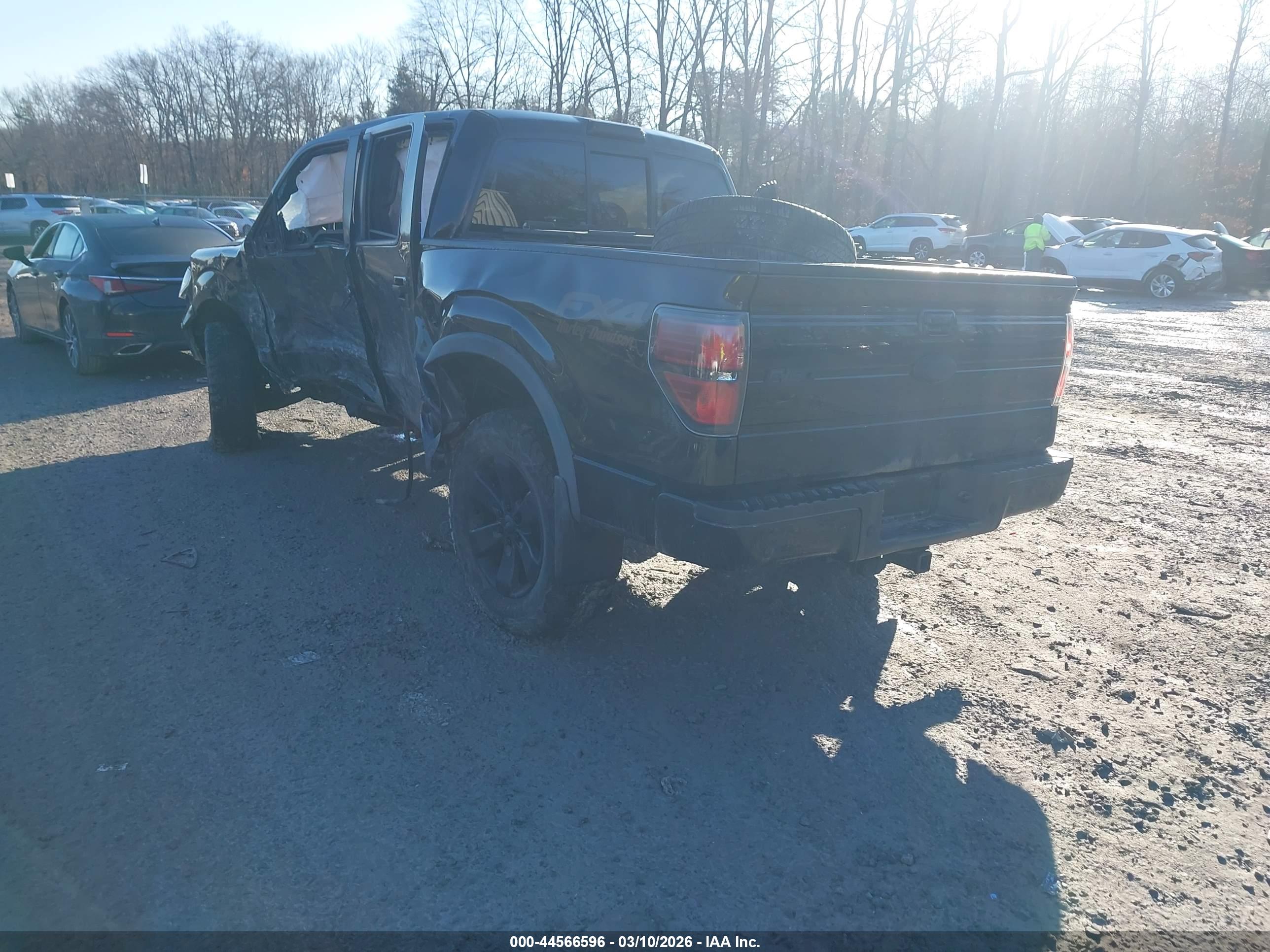 FORD F-150 image 3