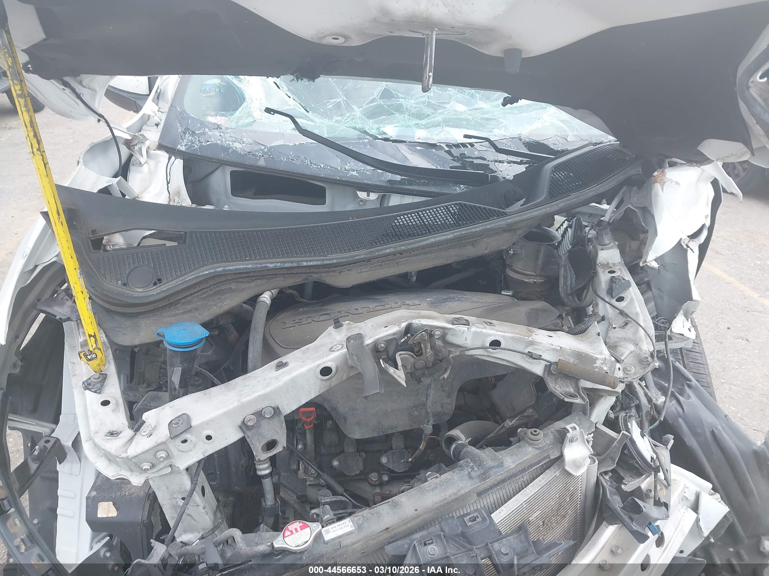 HONDA PASSPORT image 10